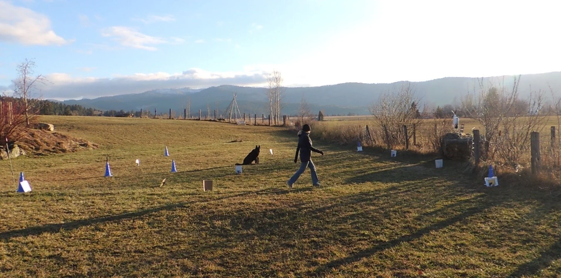 Keeping his eye on me during obedience practice, Xurk at 12.7 years young just earned his RN title. Happiness and joy with my dogs!