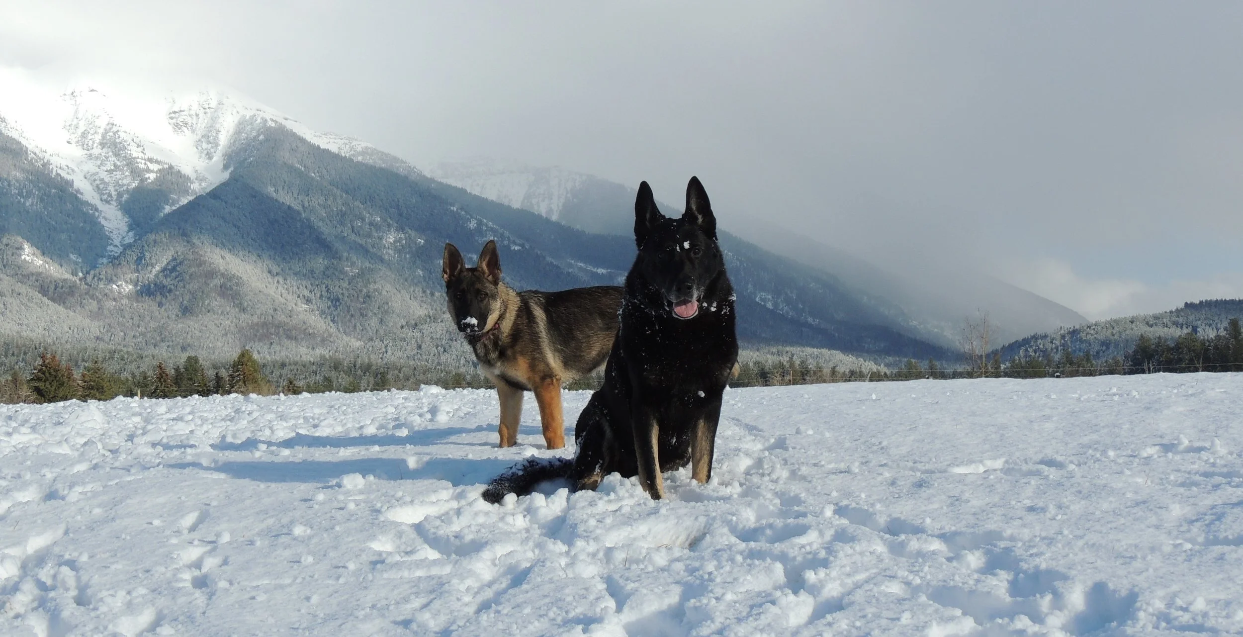 About time we got snow!