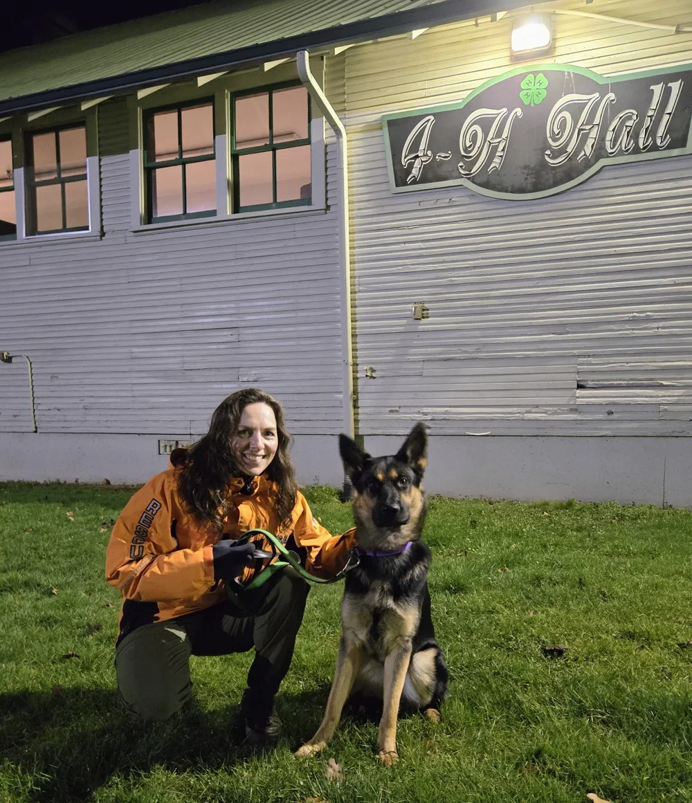 SAR female in training;
Good morning, Ramona., Just wanted to send you an update on Lizzy. We are doing well and training hard. She just passed her temperament test with the Clackamas county sheriffs office. She got a perfect score!! The temperament 