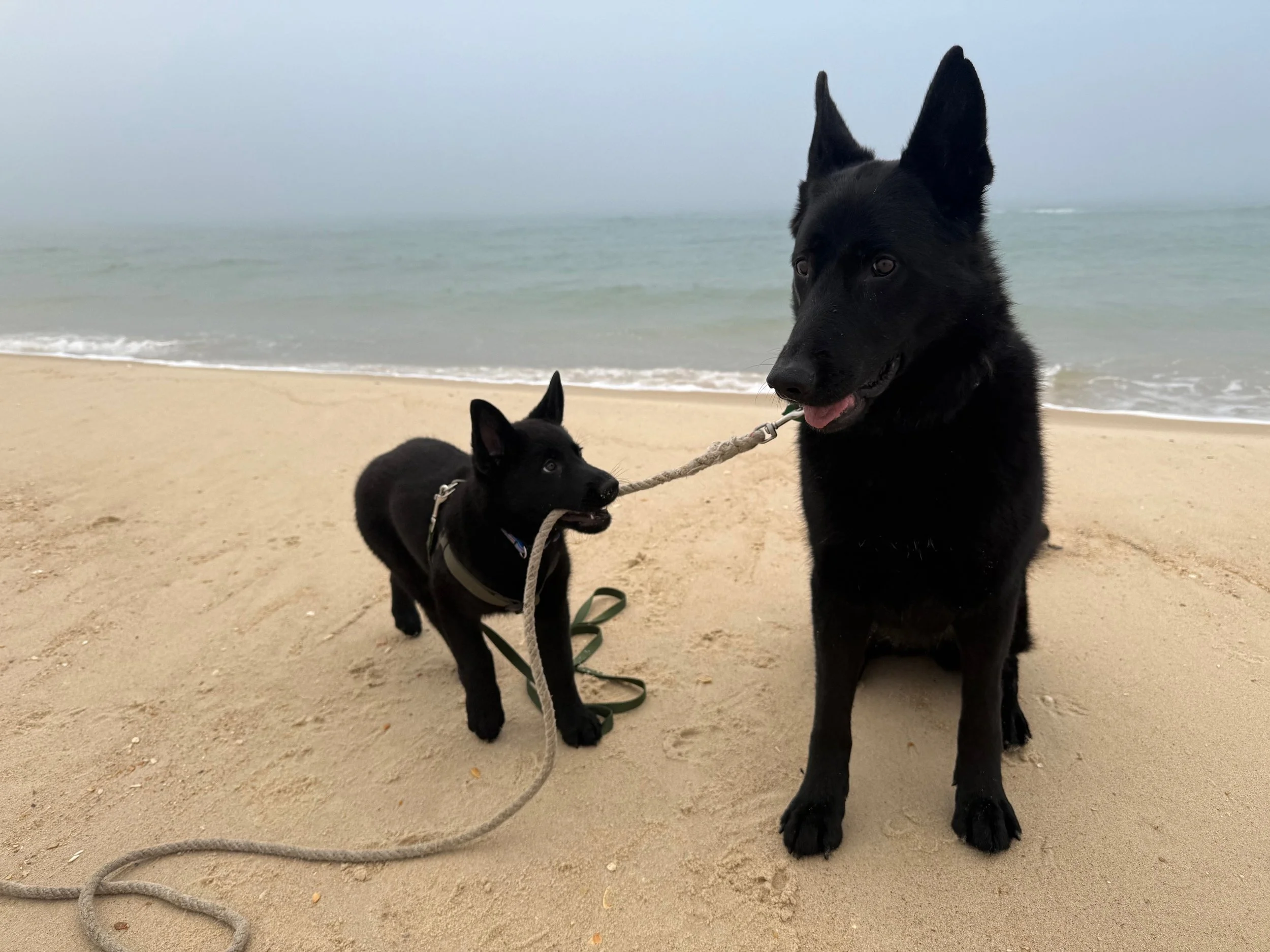 Just a really cute photo of these two doing well in Florida!