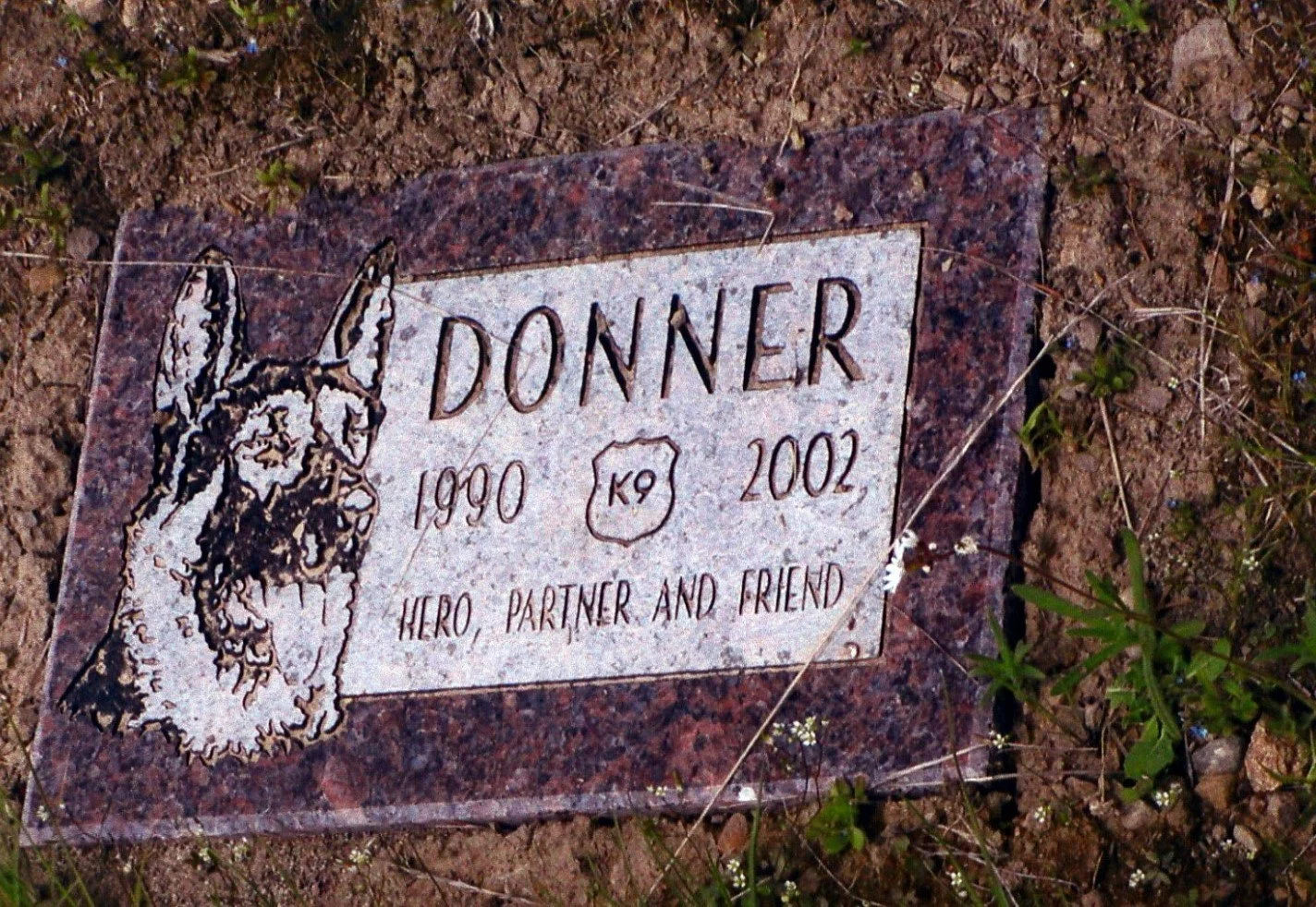 Donner...