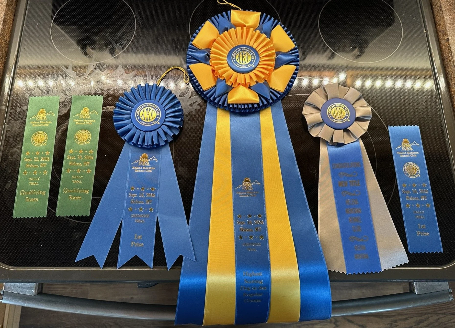 Celebration!  Kobuk & Cindi had another incredible day of trialing. New Rally Excellent title, 1st pl awarded. 2nd leg in Obedience Novice with a High In Trial awarded.  A fantastic day for an outstanding dog.