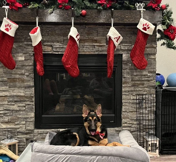 Tessa Christmas card.jpg