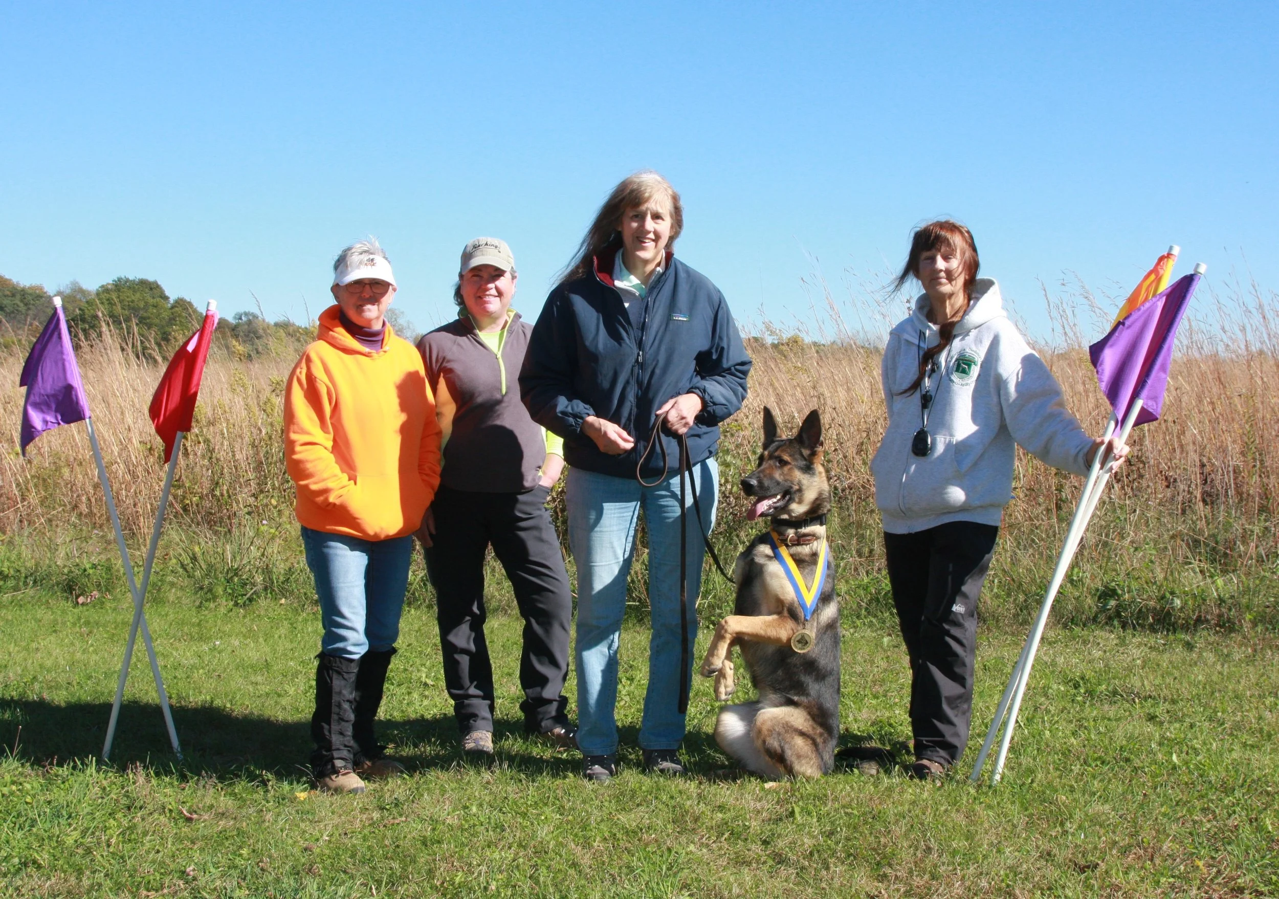 A successful, busy week for CH Illinois Amanda of Sapphire Mountain (sister of Indigo) & owner Eve. Big congratulations on passing the difficult TDX=Tracking Dog Excellent test.