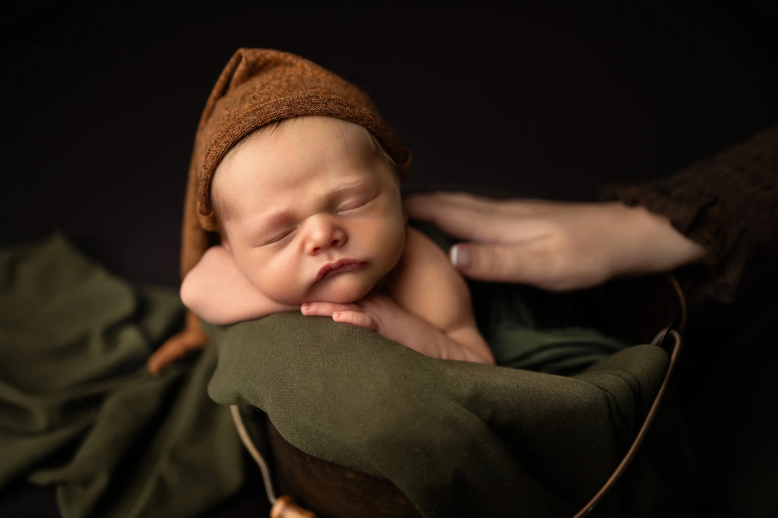 Fine art posed newborn photography in Dahlonega GA by Lane Collins Photography, serving families from Alpharetta, Milton, Cumming and North Georgia.