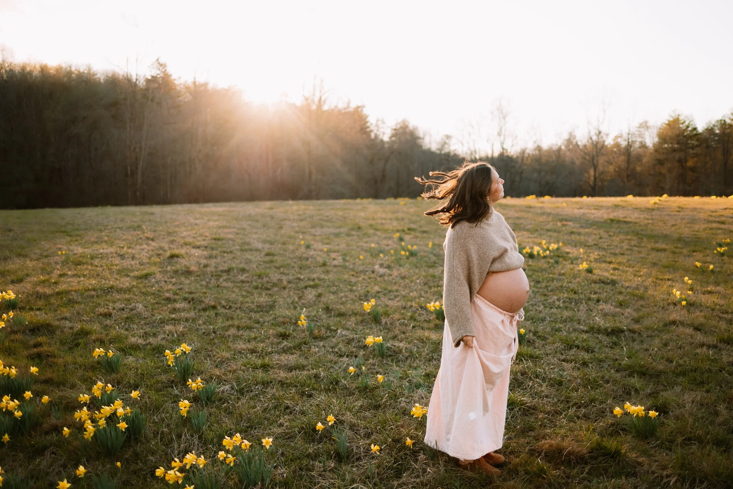 Outdoor maternity photographer in Dahlonega GA capturing a spring pregnancy portrait in a field of daffodils in the North Georgia mountains