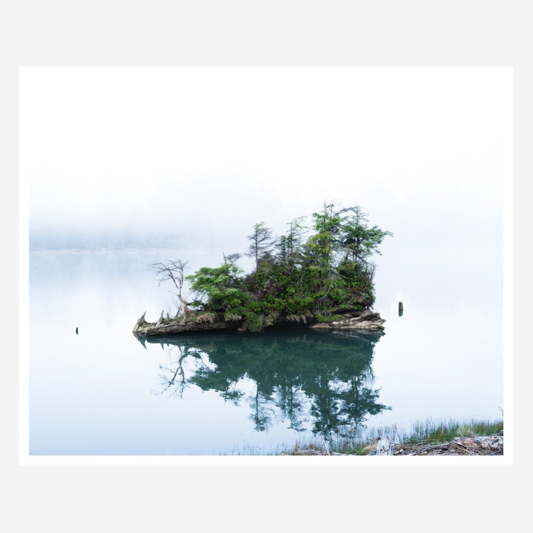JBailie-nehalem_bay-031824_DSF1527.jpg