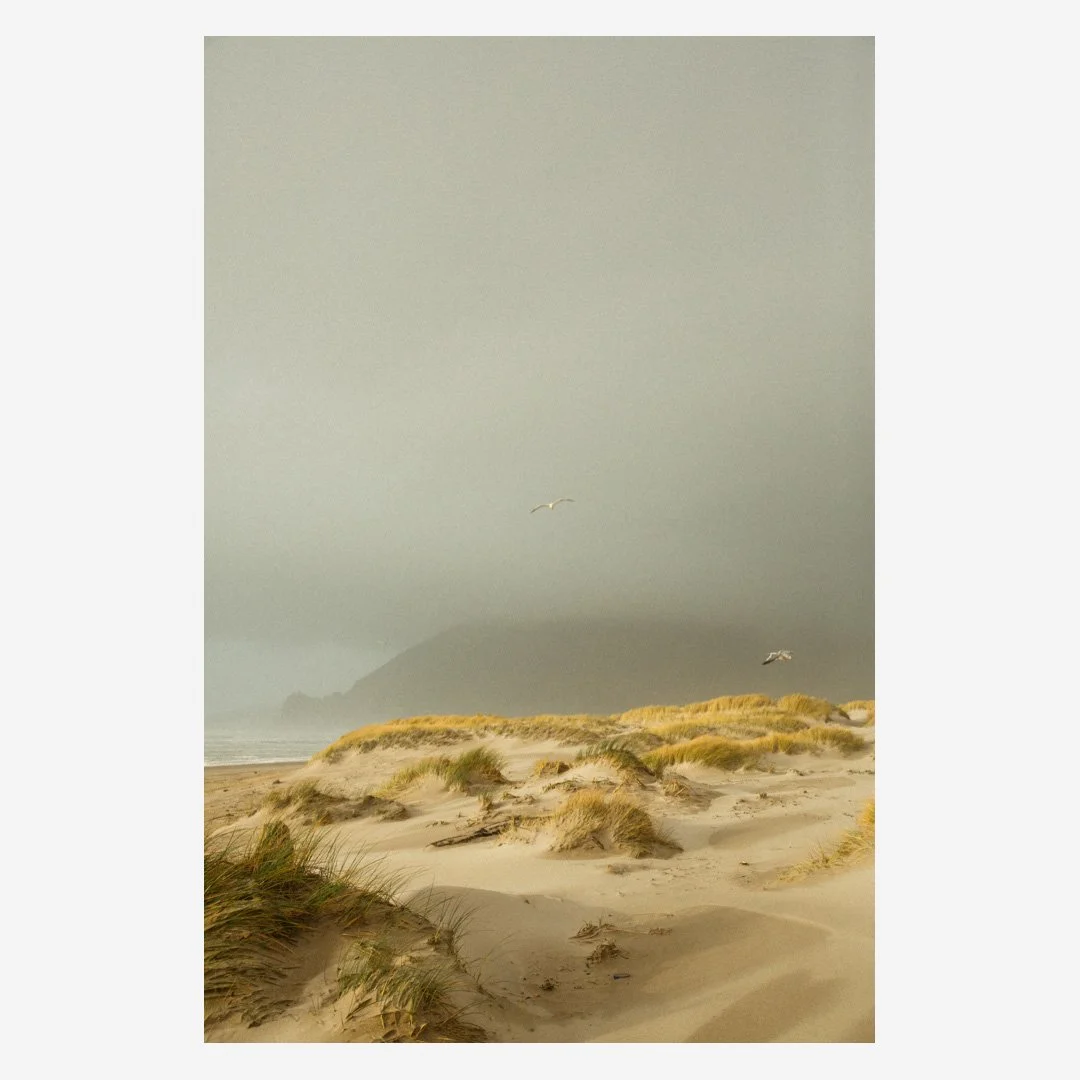 JBailie-manzanita-121818-1170.jpg