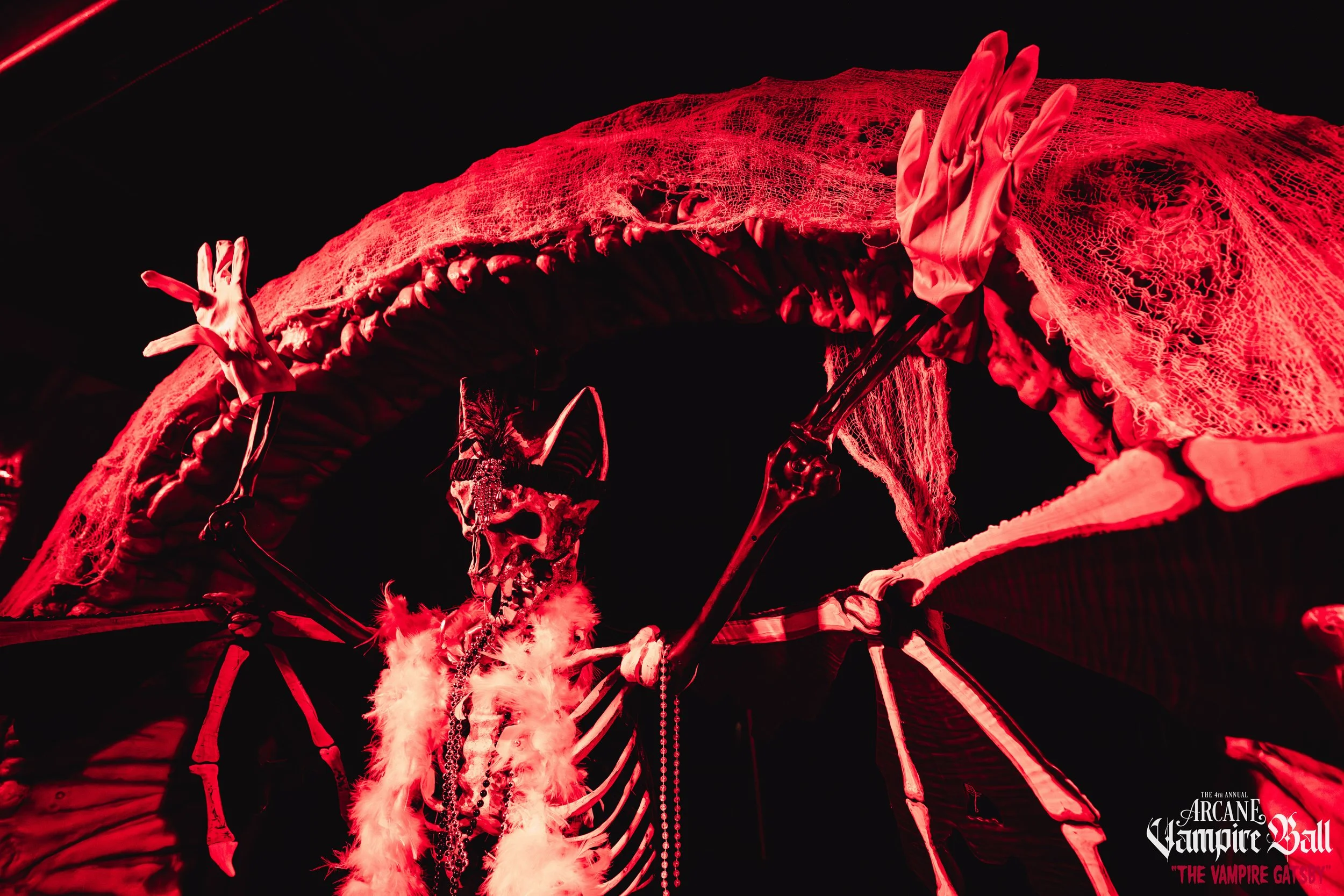 Arcane Vampire Ball (5-4-25)_213203.jpg