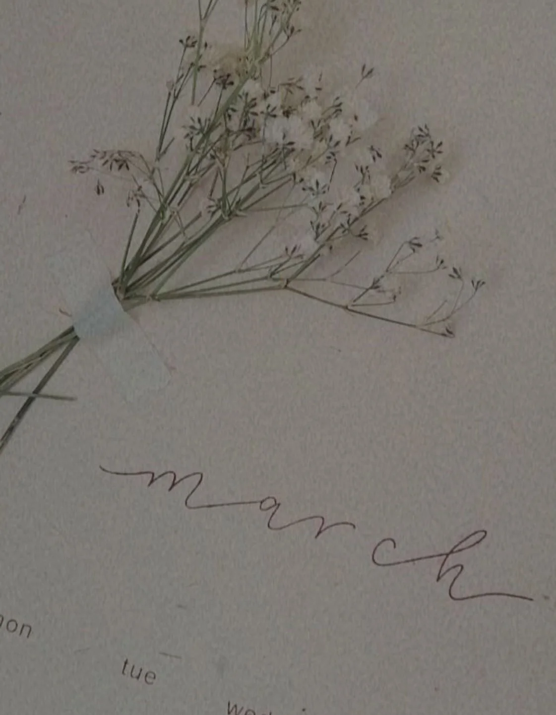 March 2026 Astrology: The Month Your Body Becomes the Compass