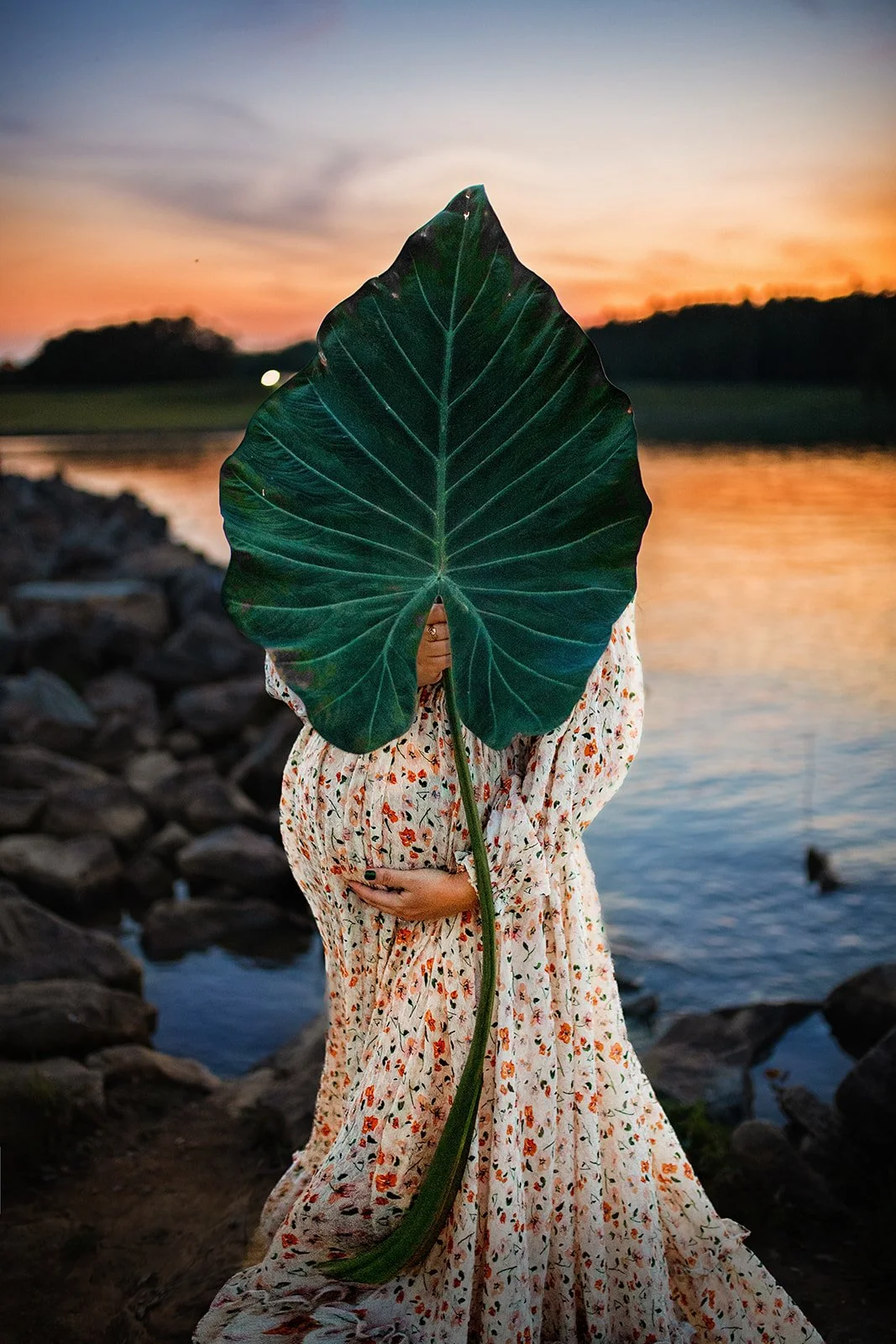 Maternity and Family Photos