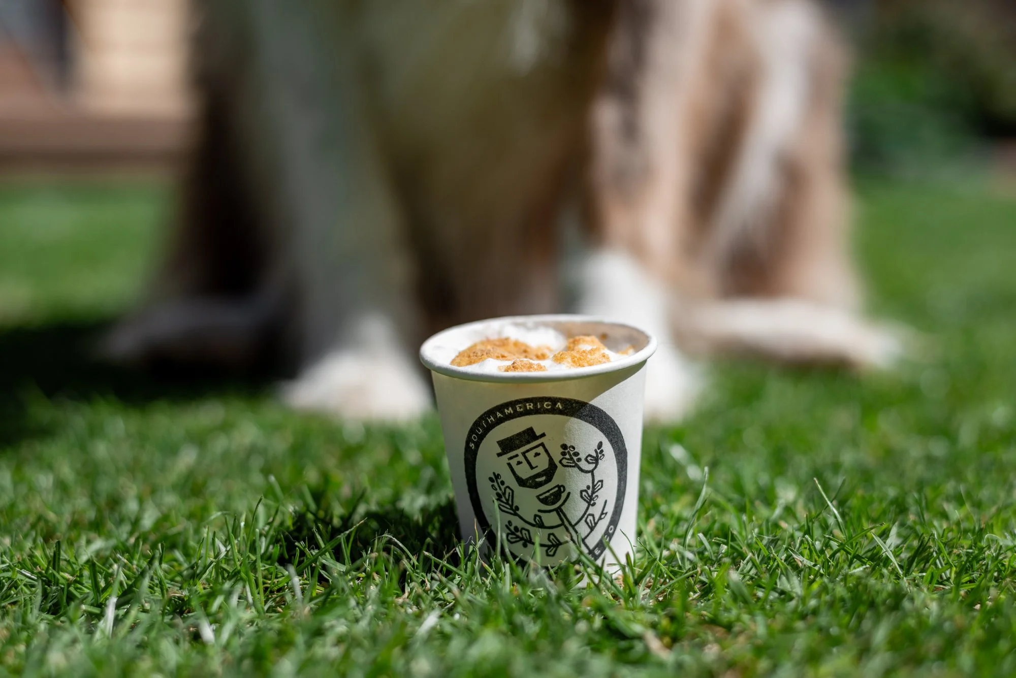 AE_SACoffeeCo_Puppercino-1.jpg