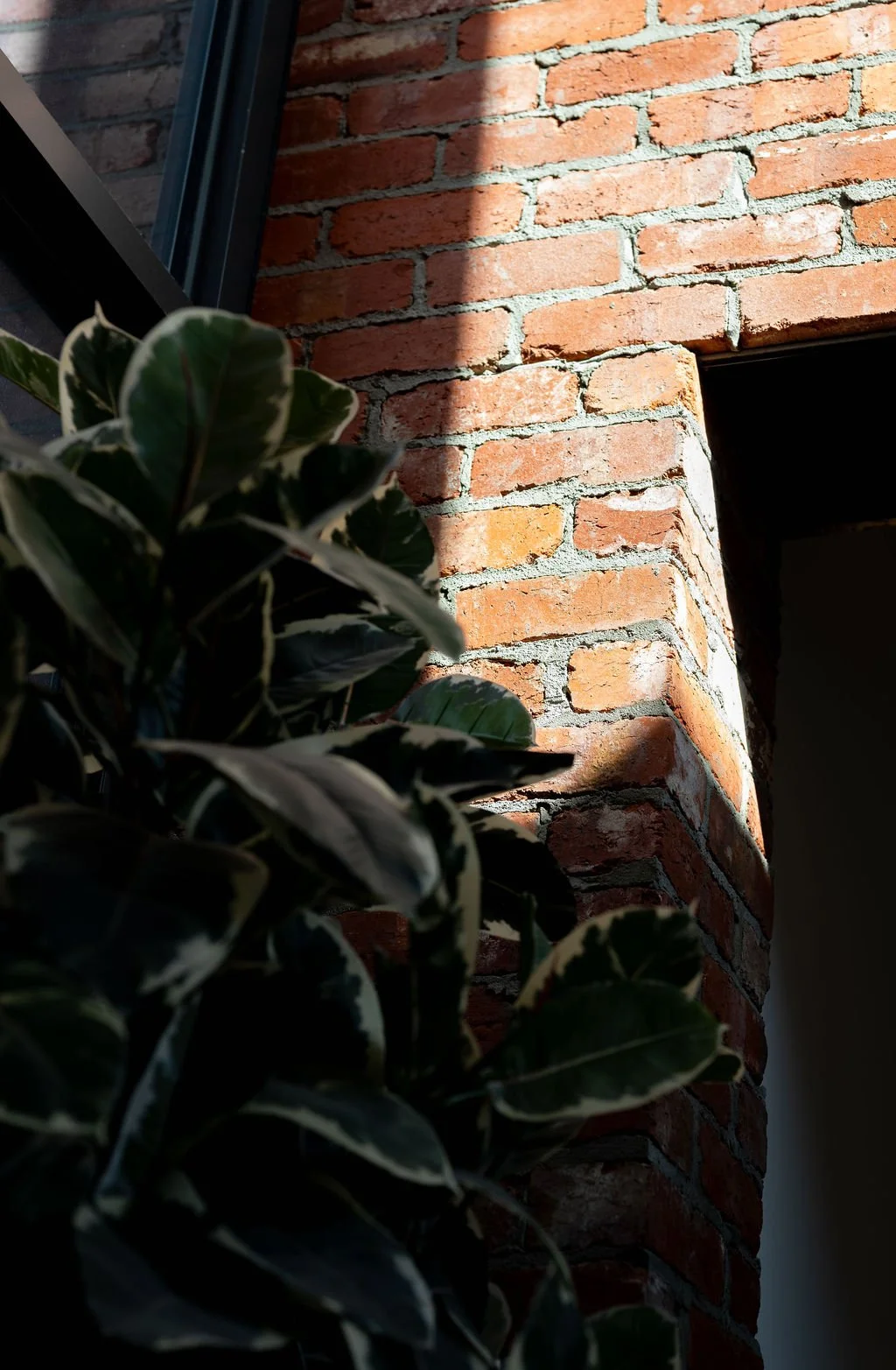 AmyEvansPhotographer_Geelongpilatesstudio_020925-32.jpg