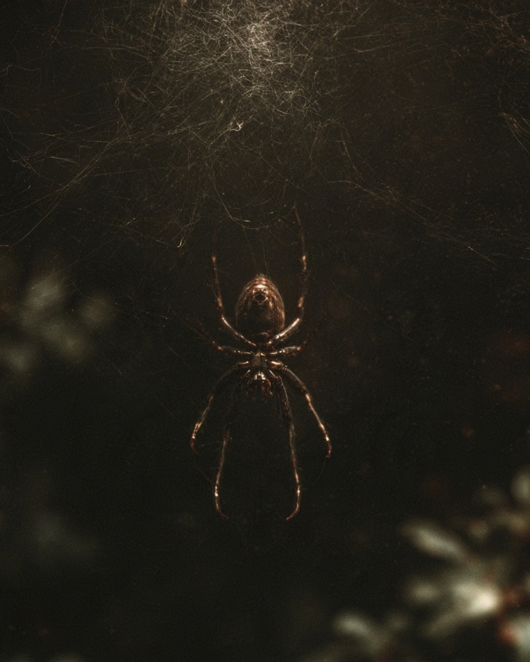 52.png