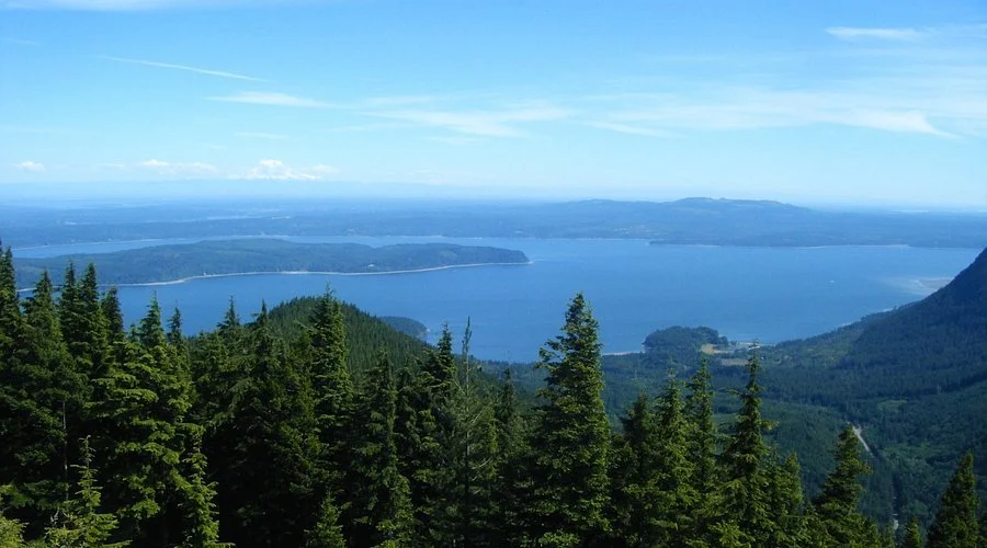 an aerial view of seattle