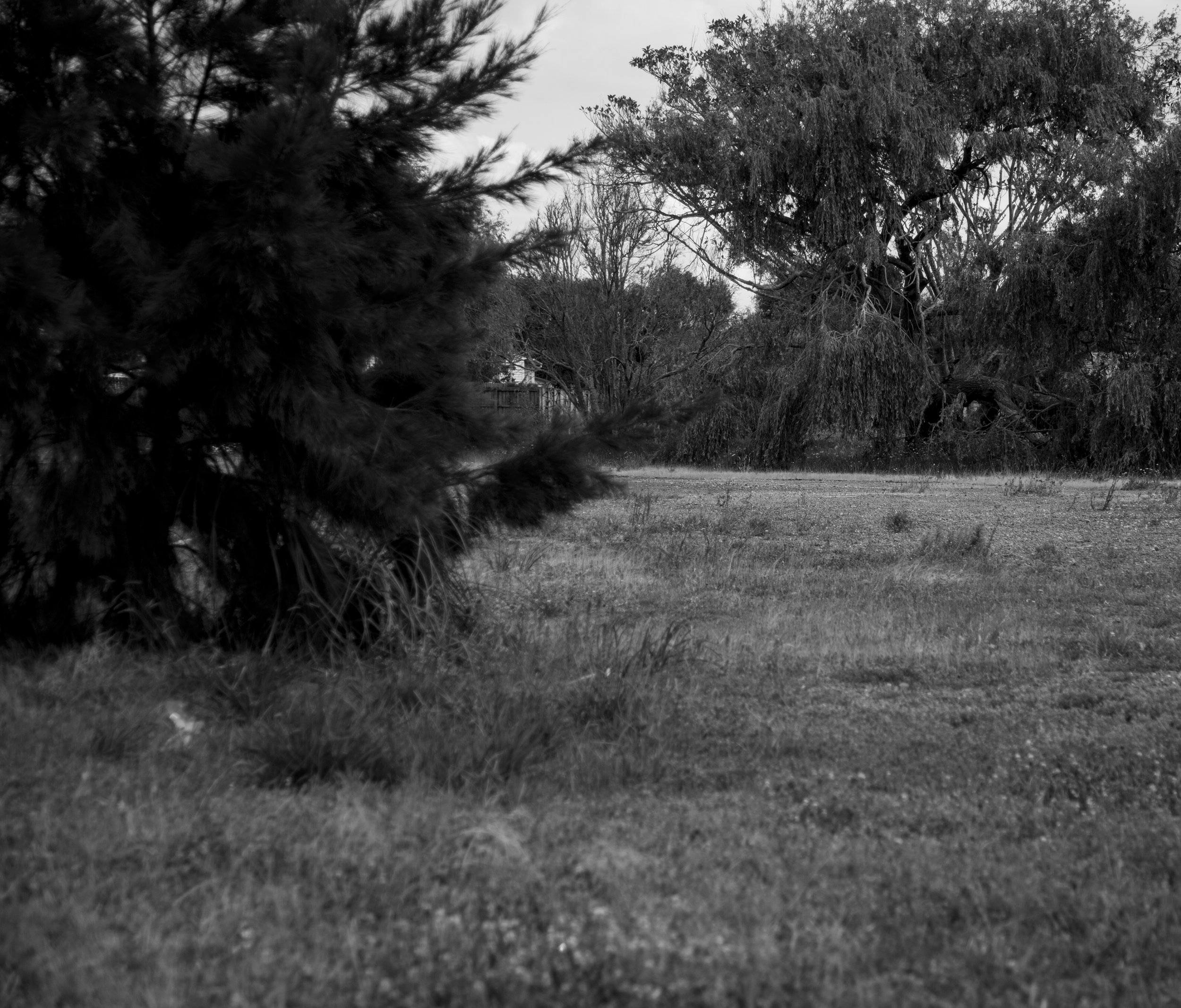 4x5in black and white film