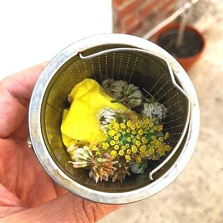 Foraged Summer Teas — Hatch Classes