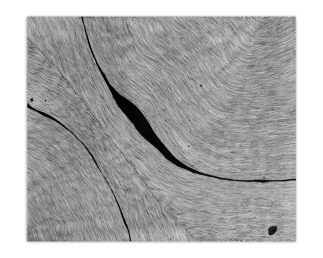 Returning to an old topic feels like meeting a familiar friend while noticing new details in their face. I&rsquo;m revisiting the fluid aesthetics of rivers, this time through imagination rather than observation. Each line becomes a micro-event, gene