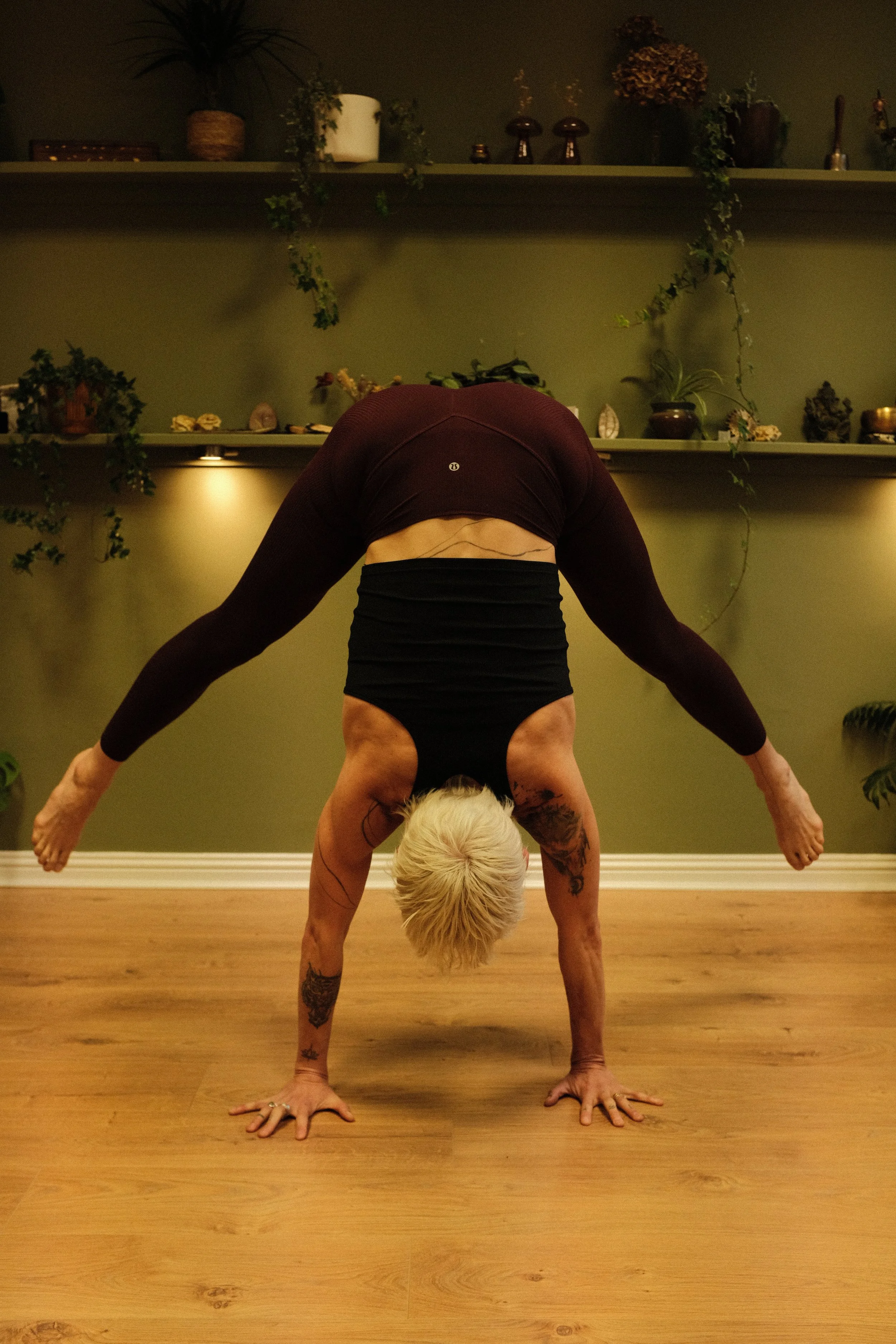 Float and Fly - January