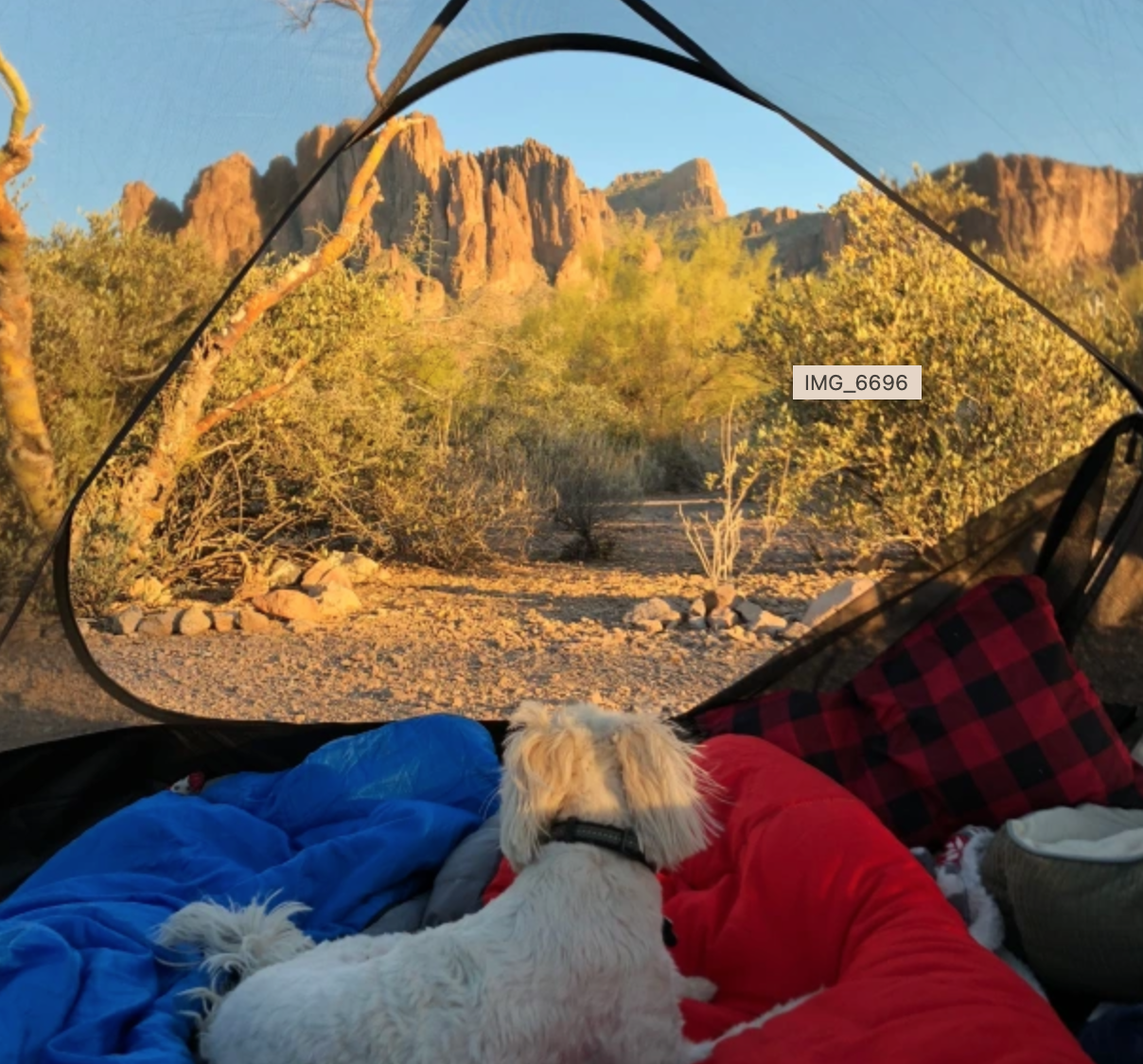 Lost Dutchman Campground Views of Superstition Mountains