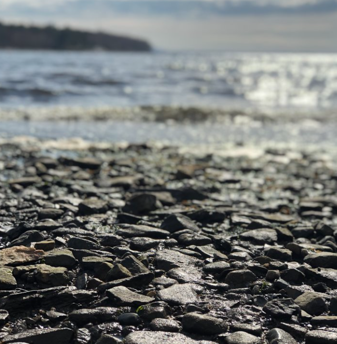 Ocean Views in Maine
