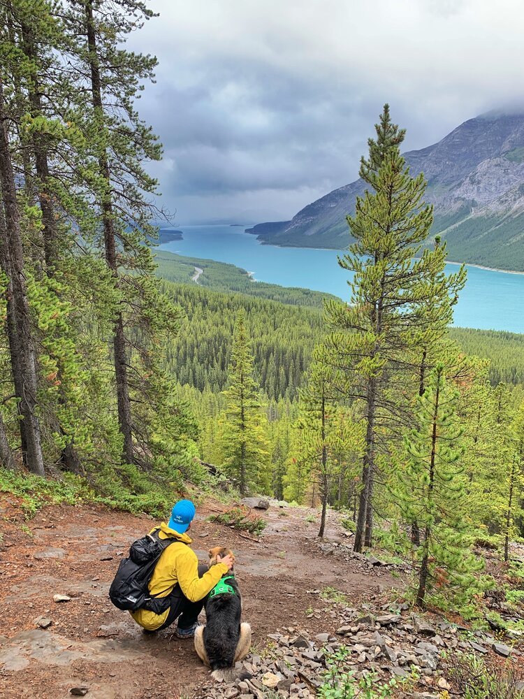Guy Looks Out at a Mountain With His Hiking Dog