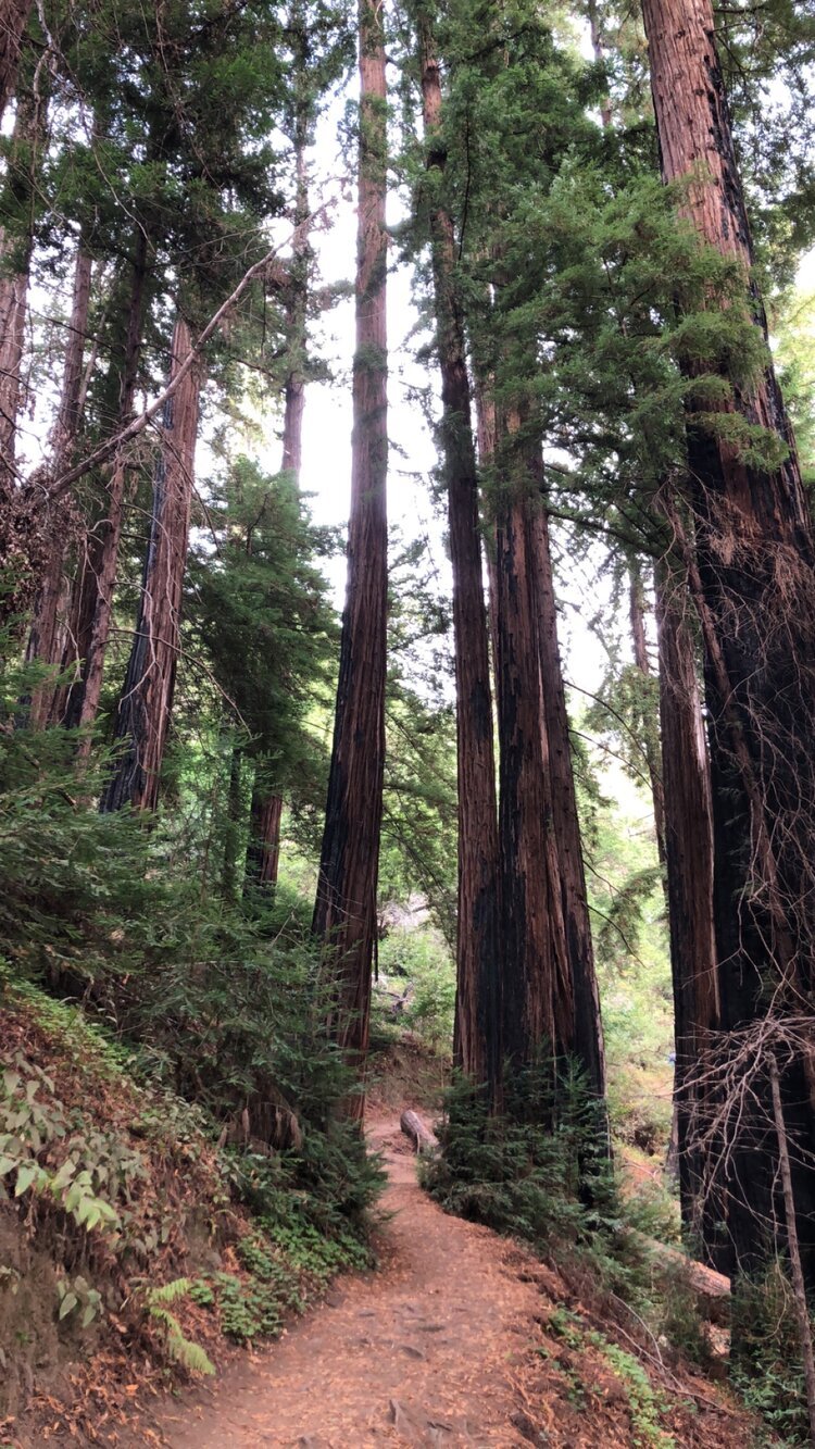Big Sur California