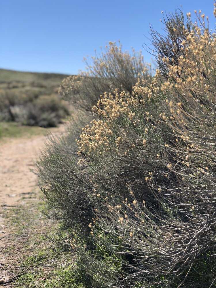 Lancaster California Hiking