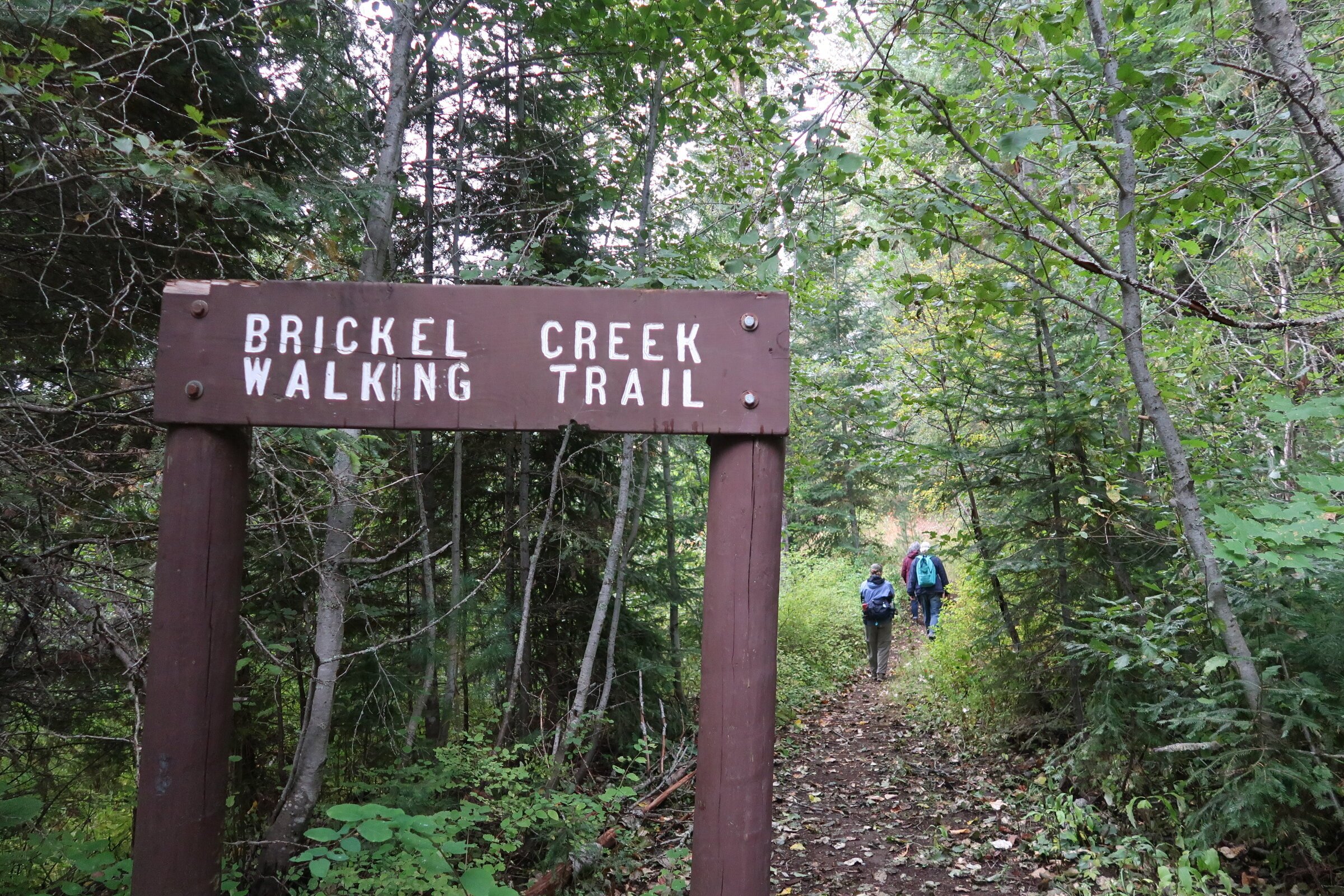Brickel Creek Waterfall Trail