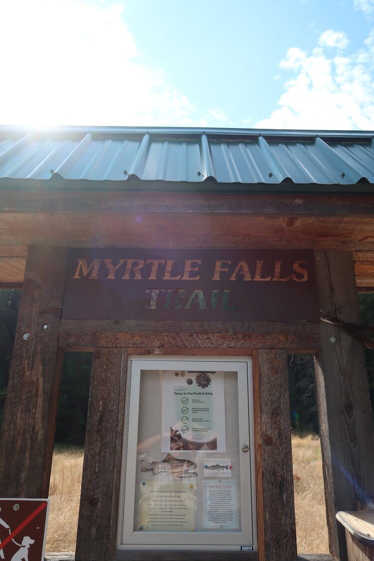 Myrtle Falls Hike 