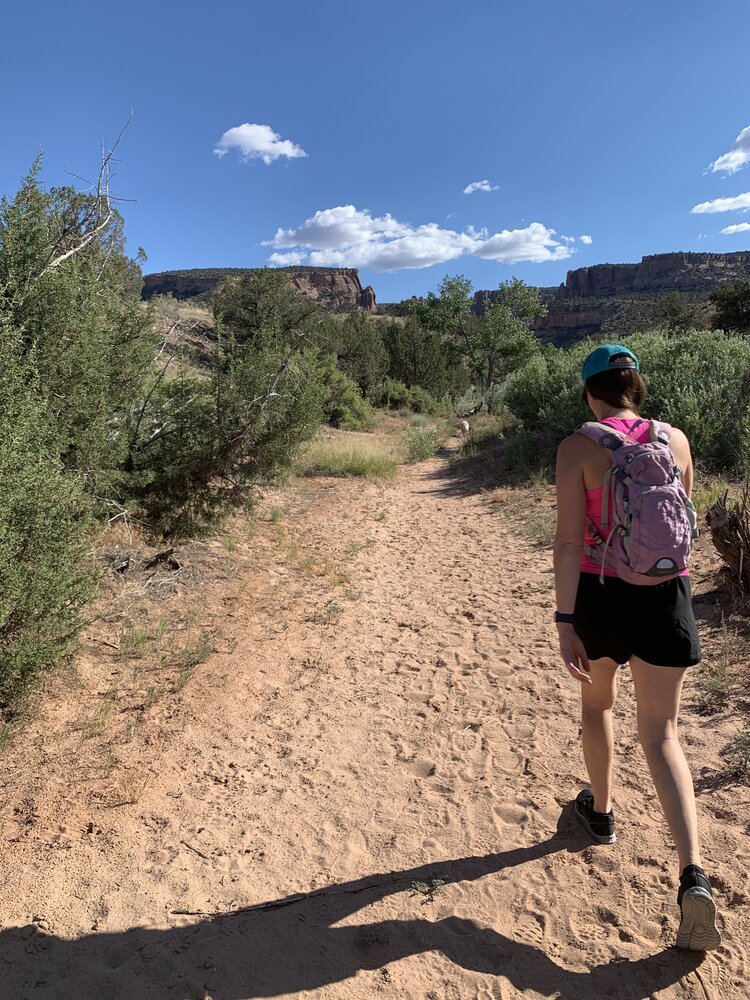 Hiking Trails in Grand Junction