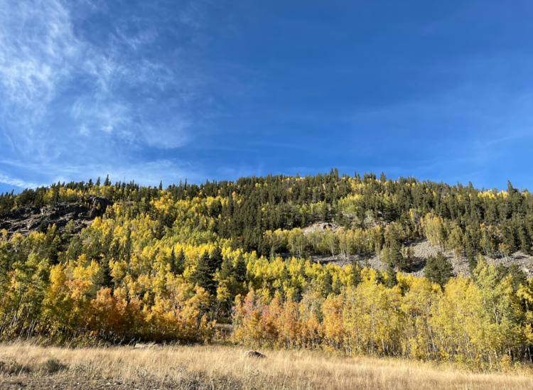 Fall Colors in Colorado 