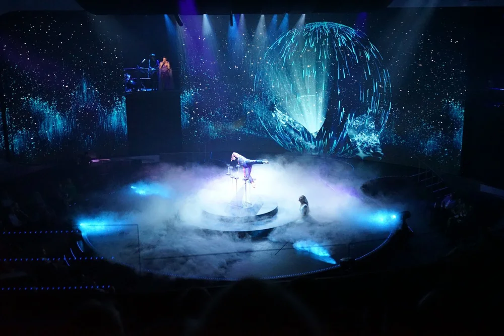 超美品✨Aviary Grande celebriducks Amazon.com: CelebriDucks - Aviary Grande - Floating Rubber