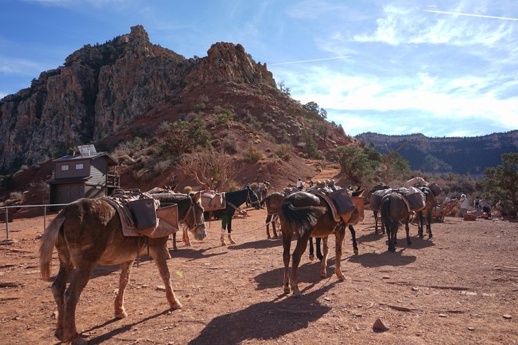 Hiking in Grand Canyon National Park