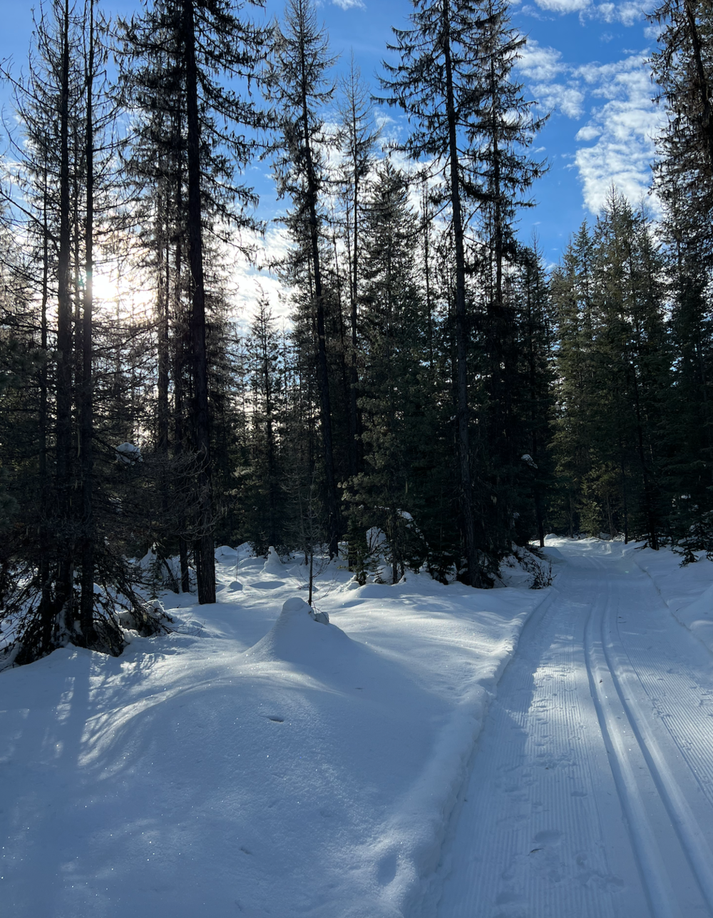 Cross-Country Skiing in North Idaho