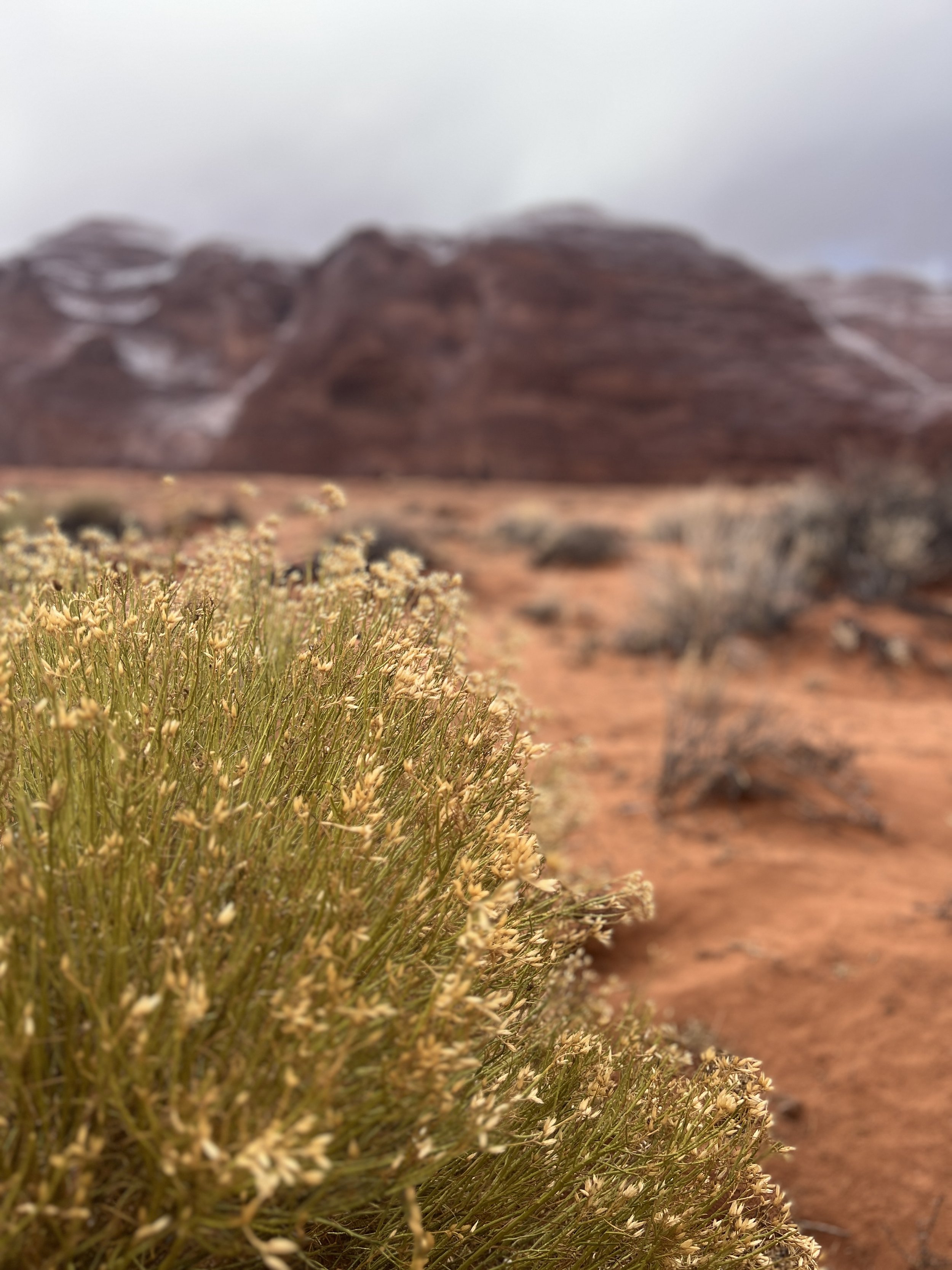 Monument Valley Backcountry Tour