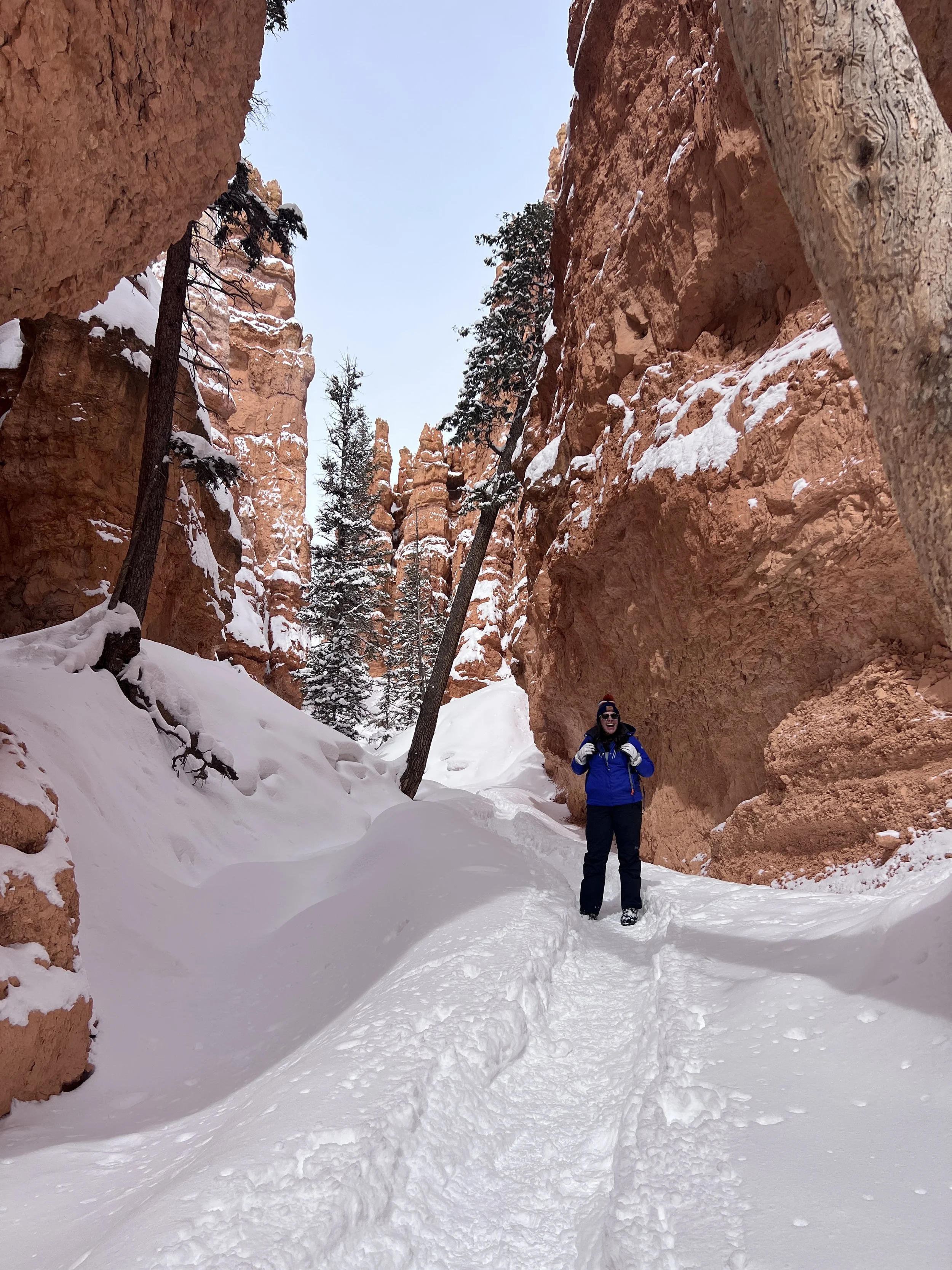 Wall Street Bryce.JPG