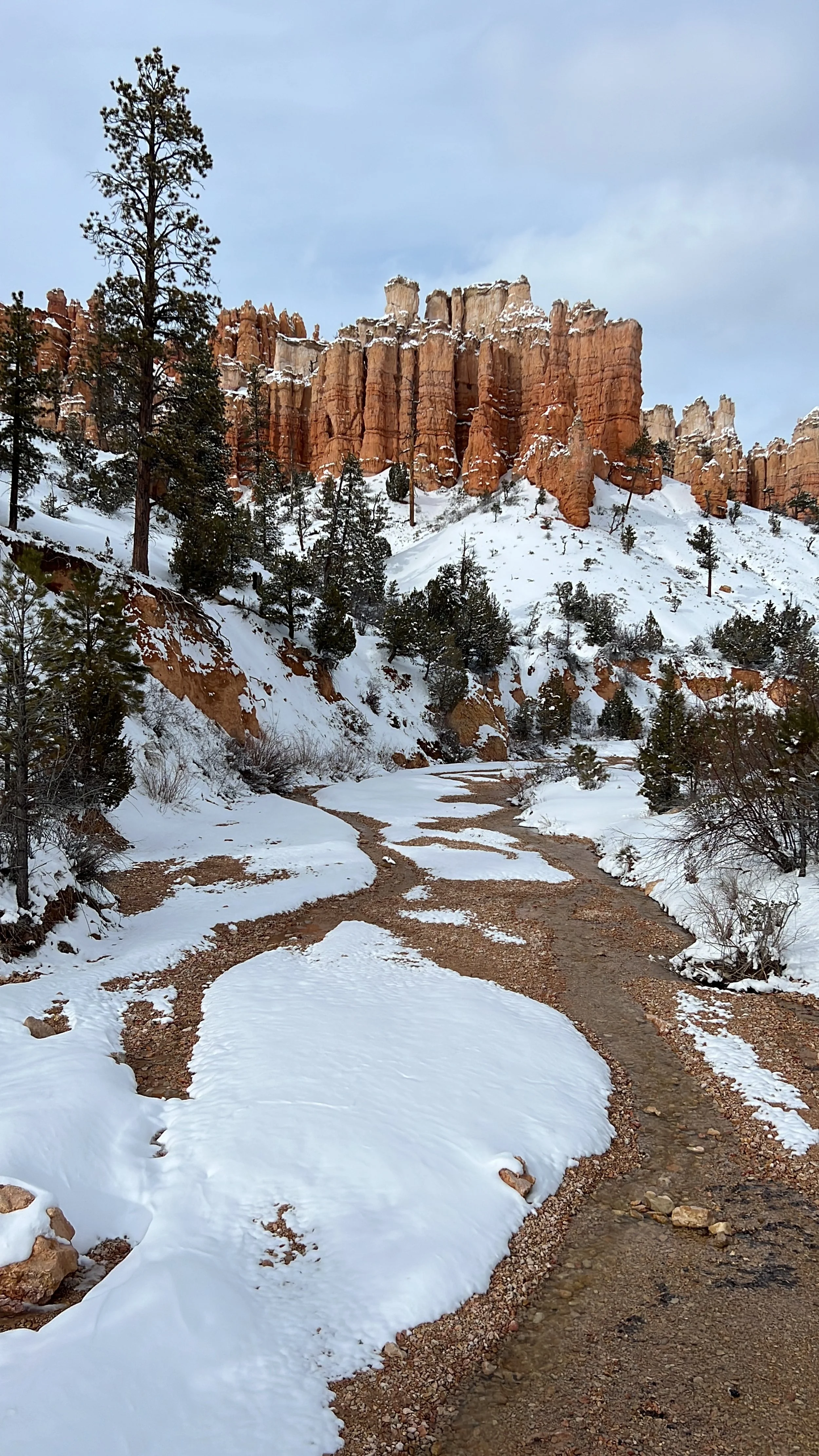 BryceWinterTime copy.JPG