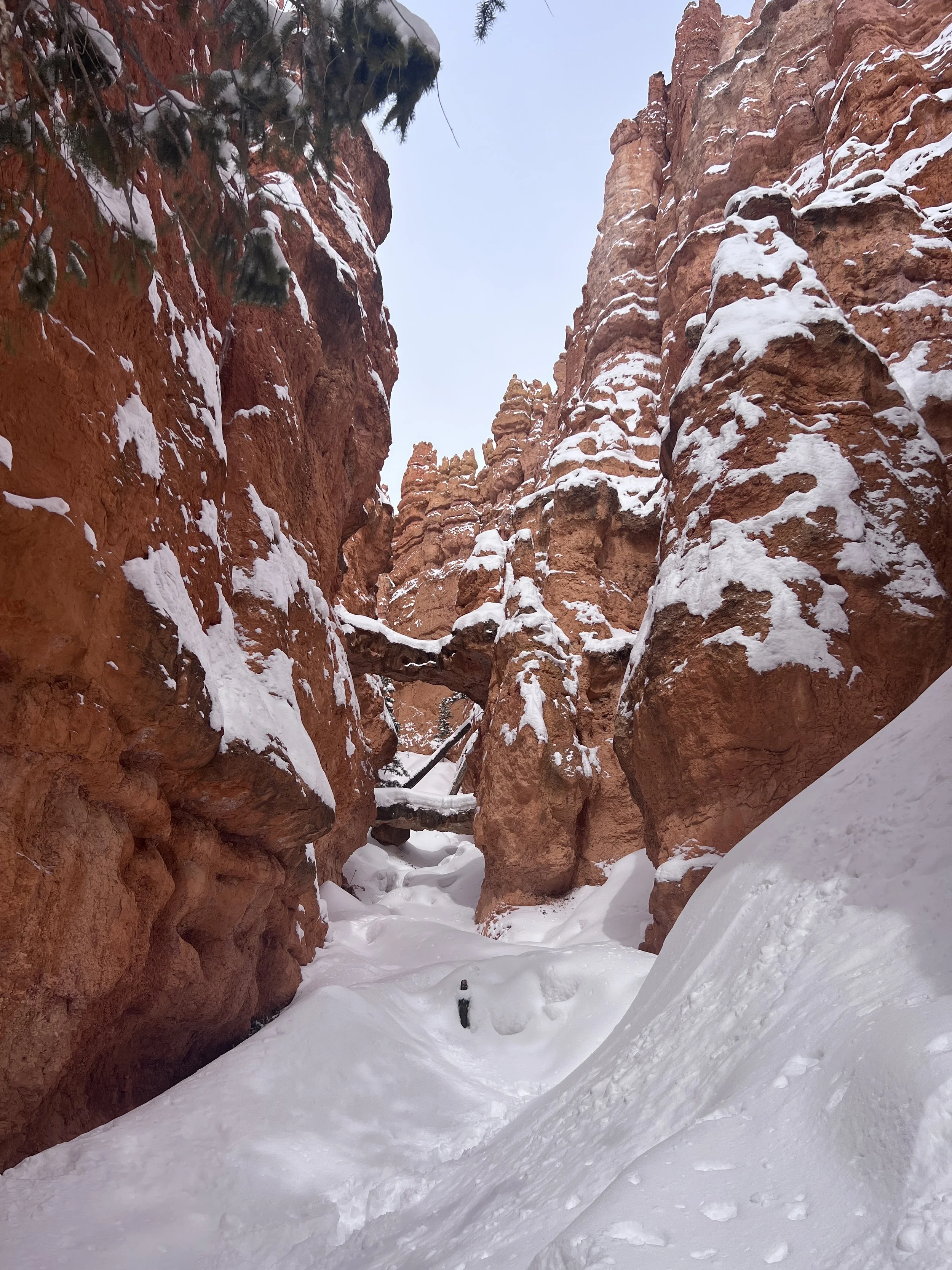 Bryce Canyon Winter.JPG