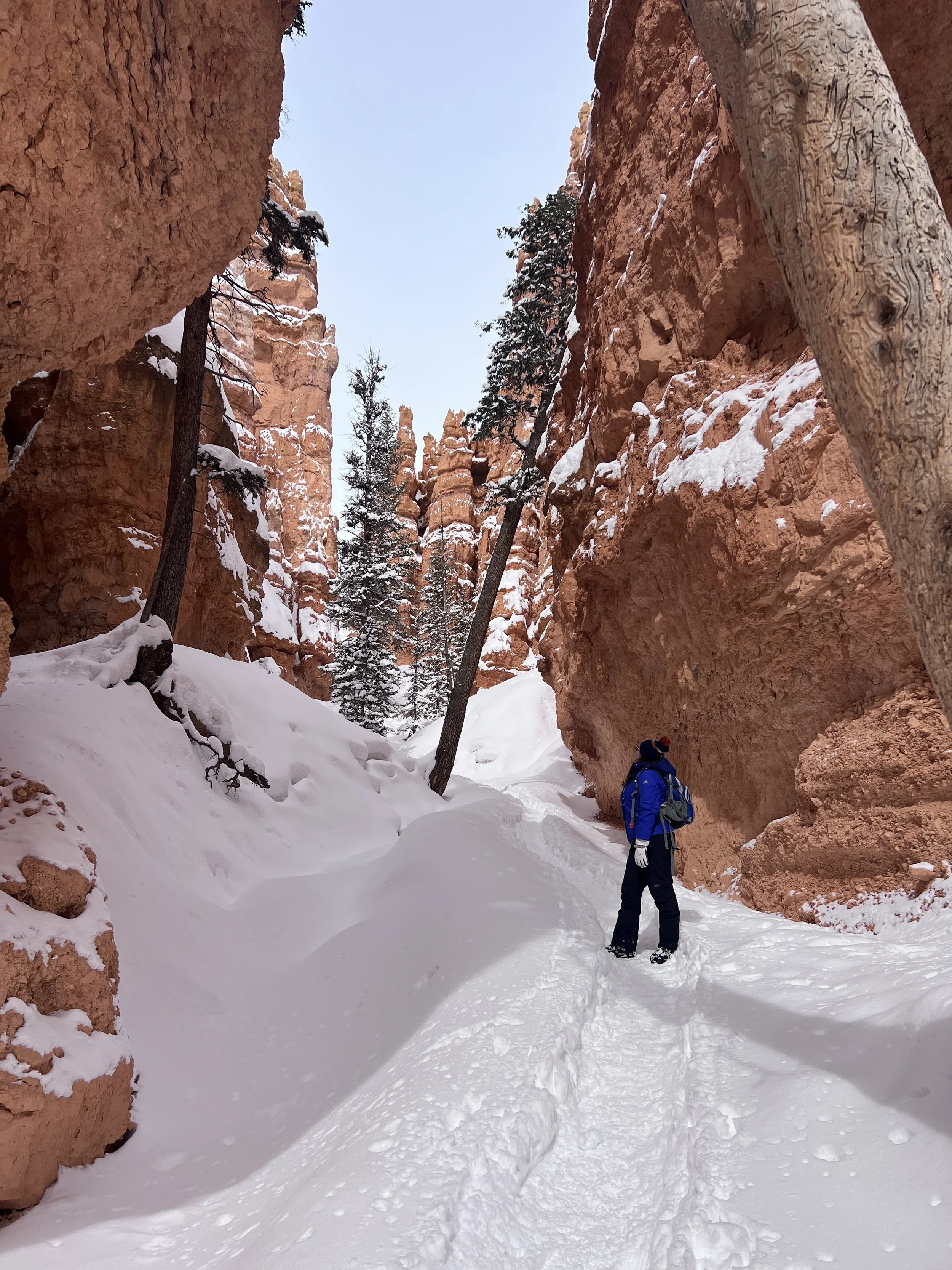 Forget the Summer Crowds: Why Bryce Canyon's Winter Wonderland Is a Secret You Need to See
