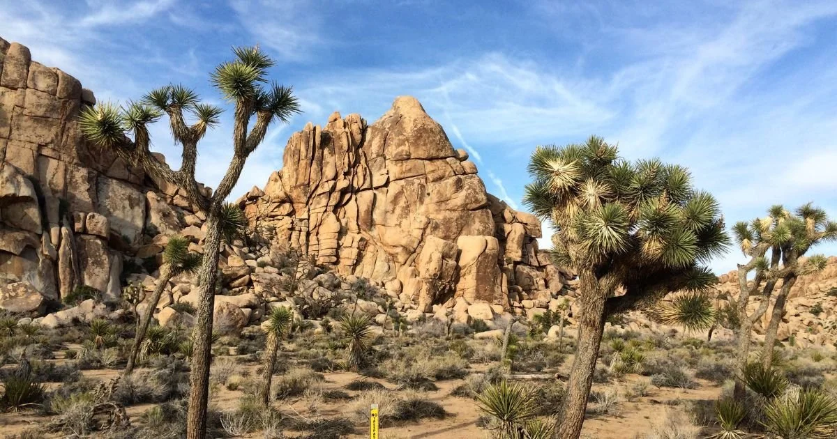 How to Visit All Nine California National Parks in 13 Days- Travel