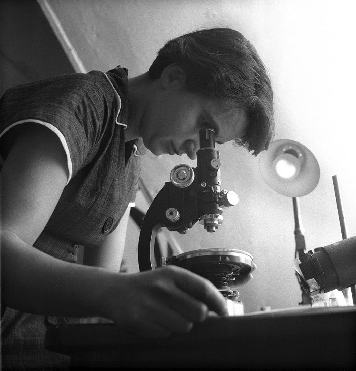 Rosalin Franklin discovered the double helix
