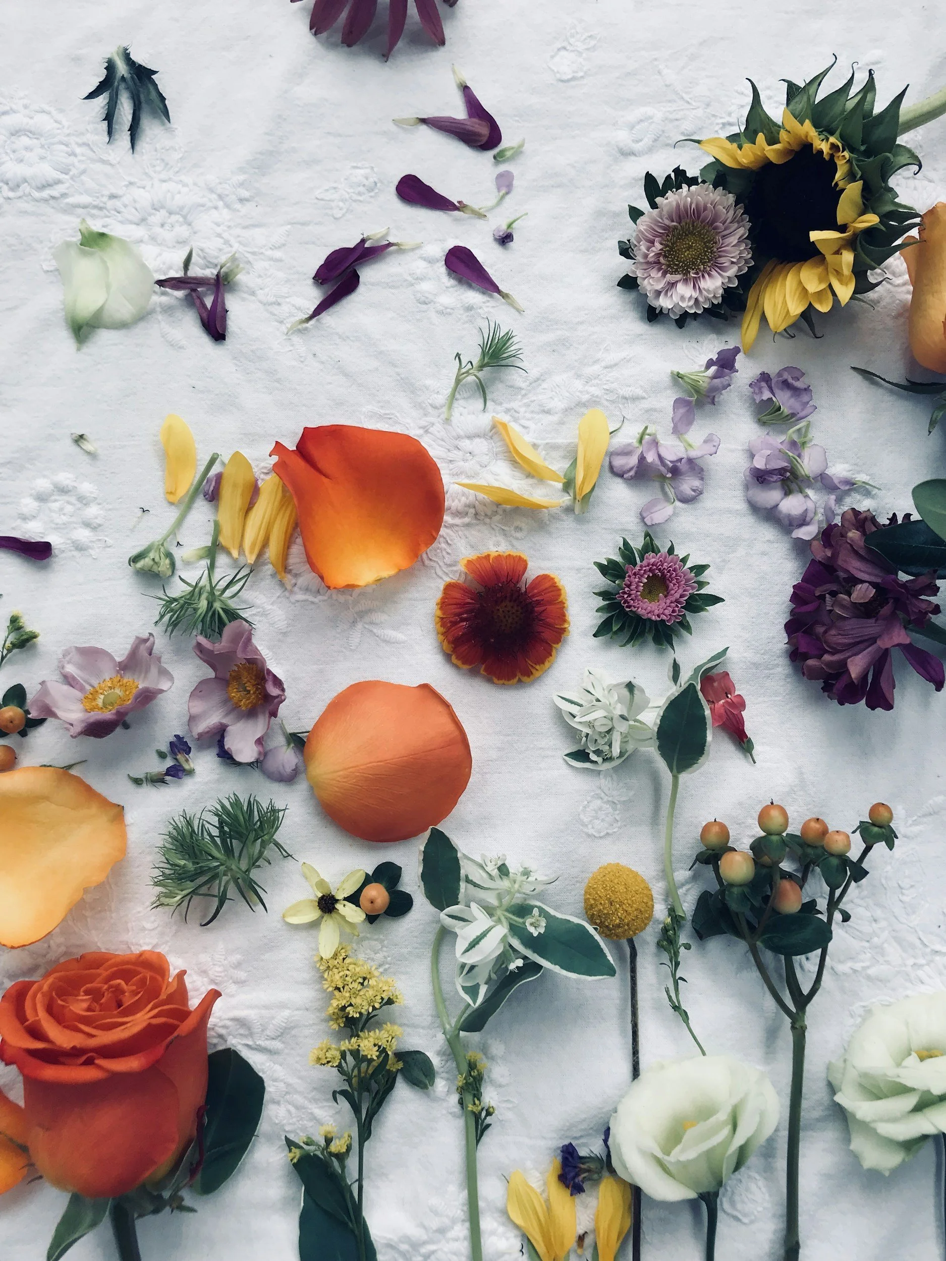 Various colorful flowers and petals arranged on a white textured surface, including roses, daisies, and other blossoms with scattered petals.