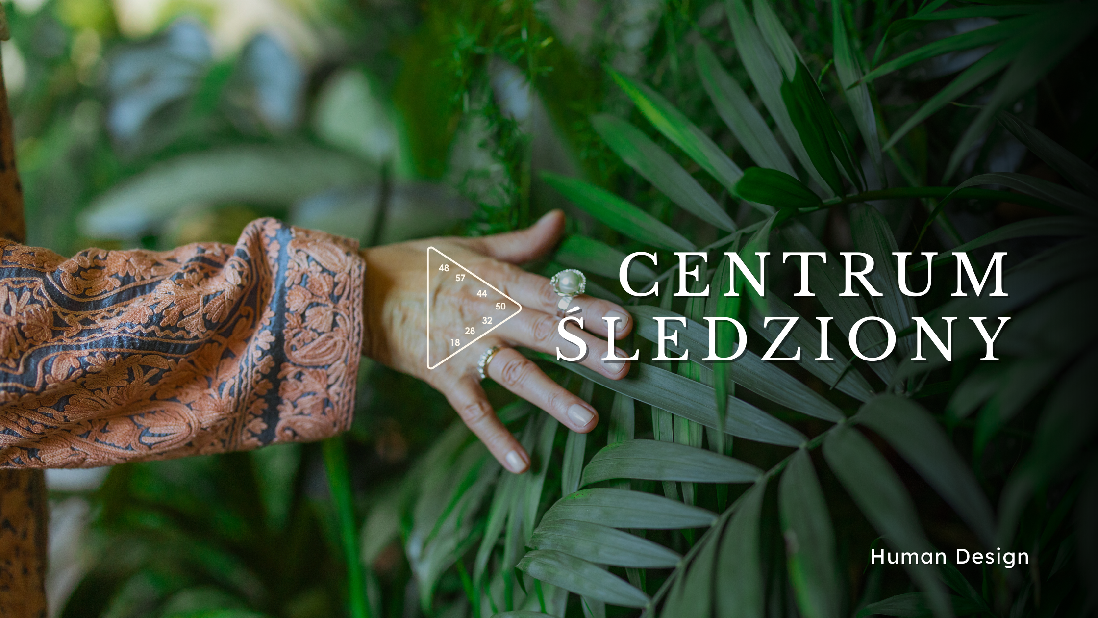 Centrum Śledziony • nie jest po to, by Cię straszyć