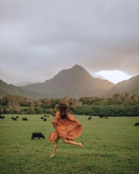 Poznaj Typy - Manifestujący Generator