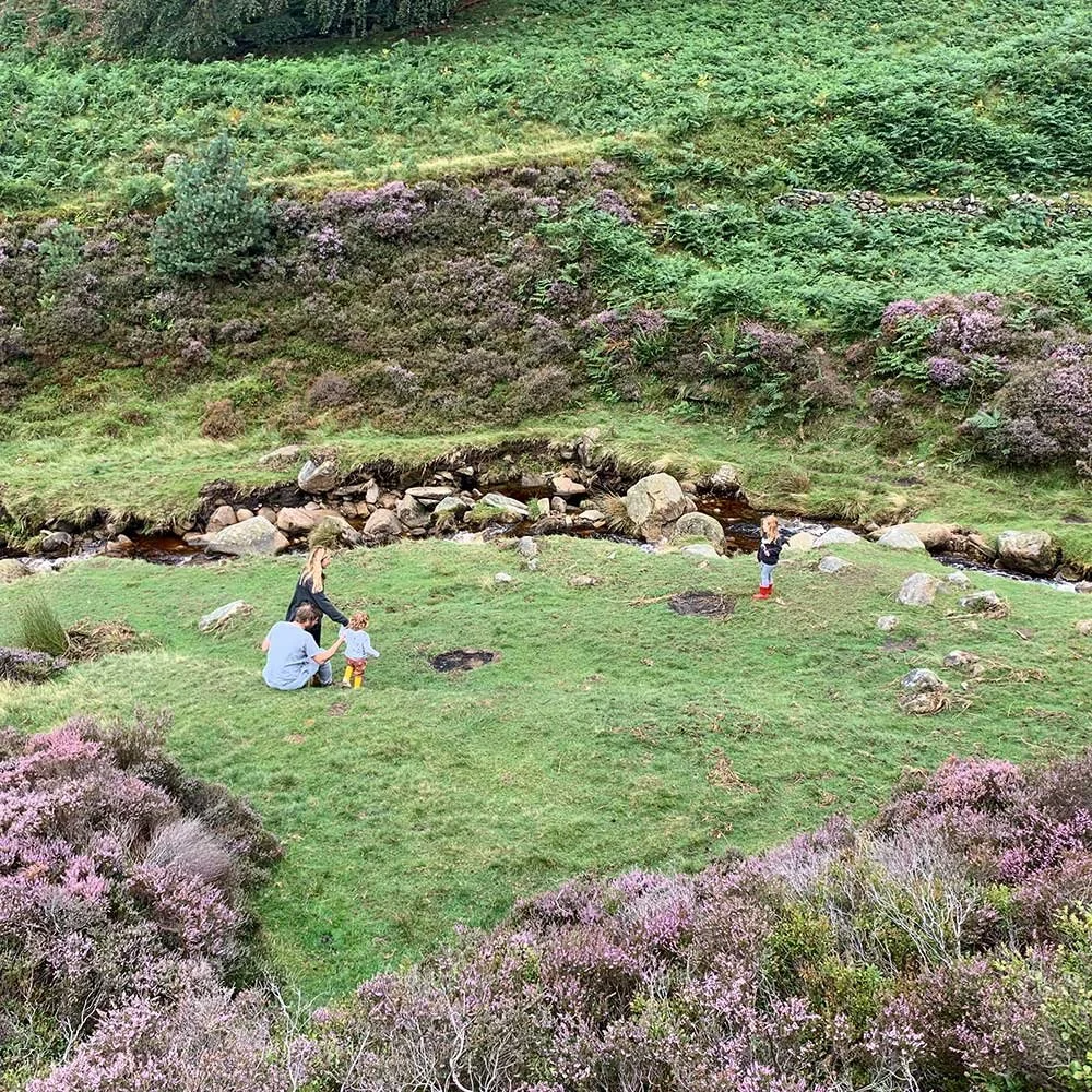 grindsbrook-and-back-walk-22.jpg