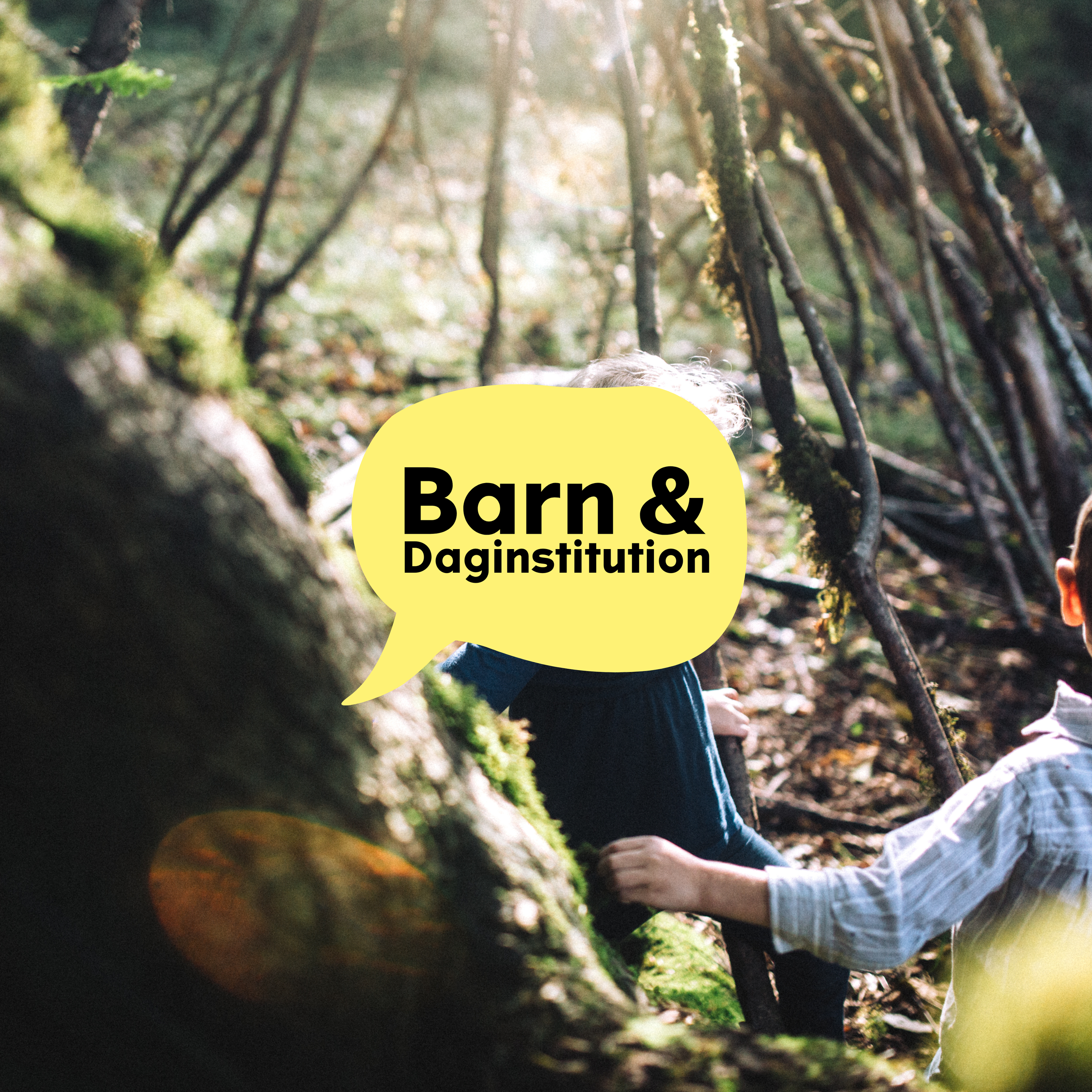 SKOVBANDEN: VUGGESTUEHVERDAG I NATUREN med Niklas Alexander Chimirri