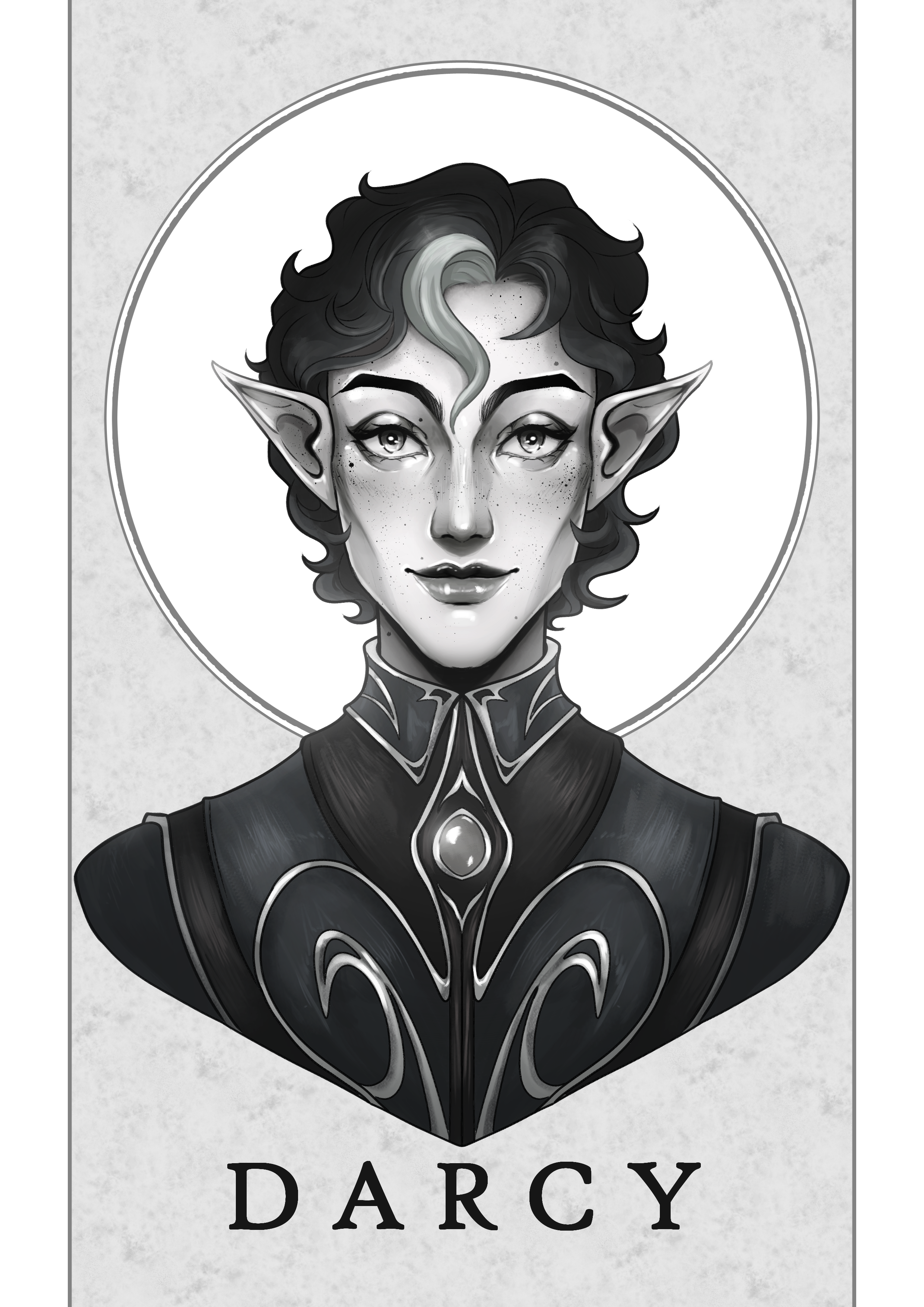 Darcy - 2024