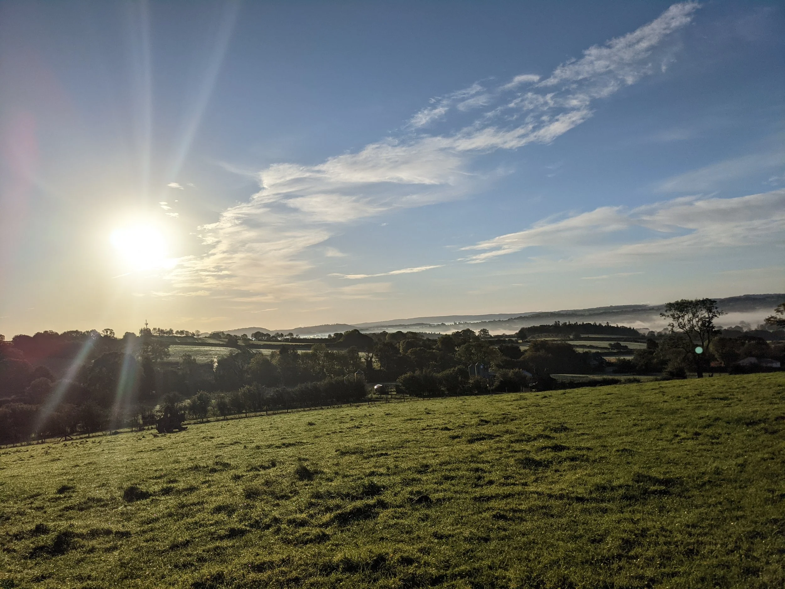 Our Story — Field and Forest Track Livery