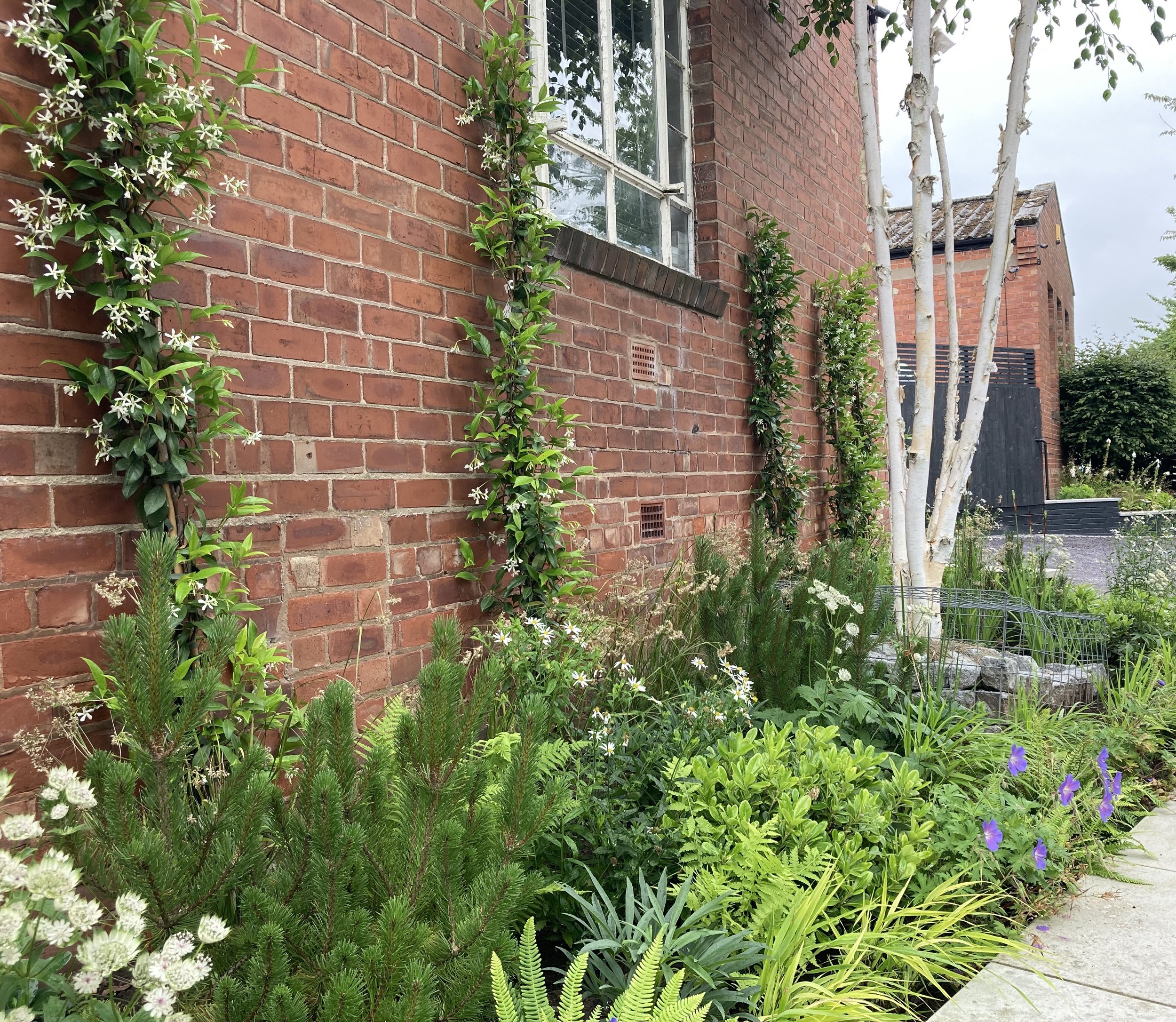 Entrance planting to an office in Chester